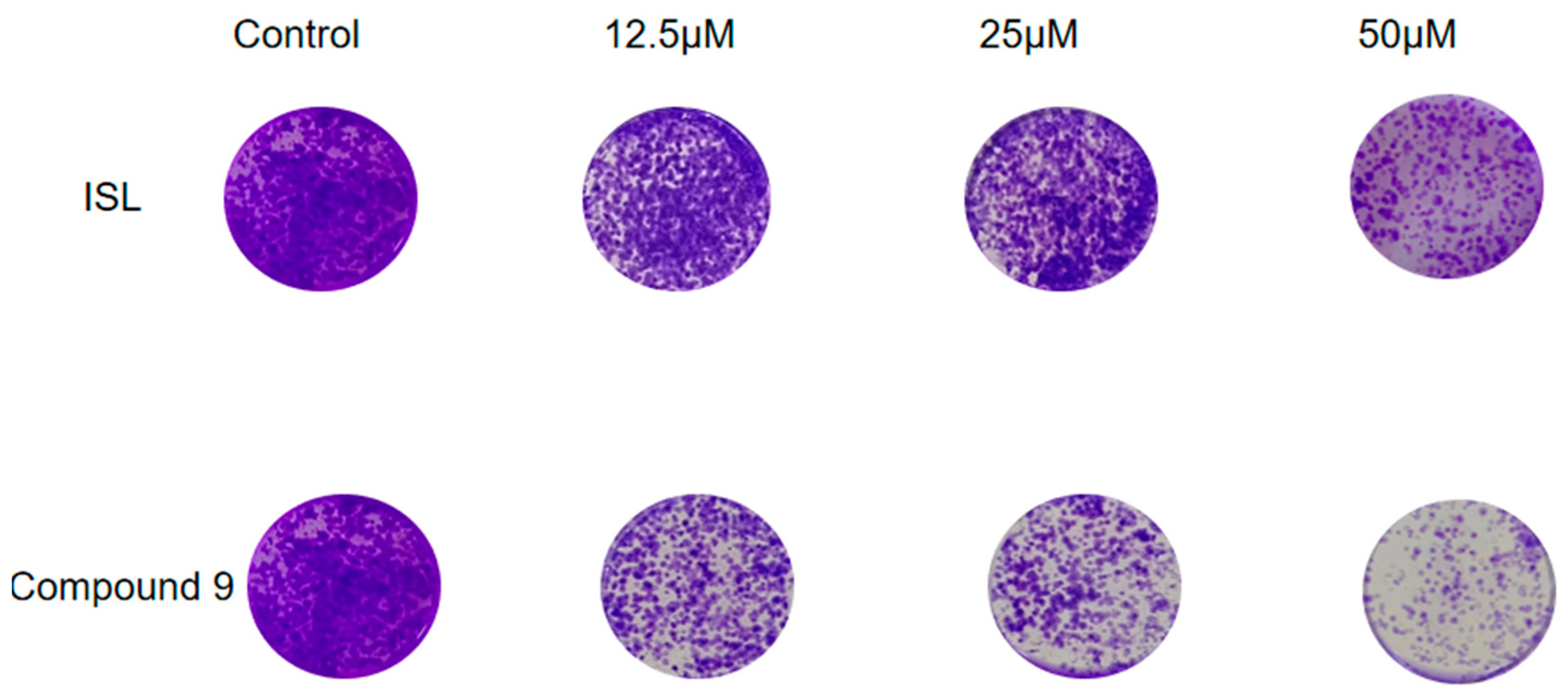 Molecules 29 02641 g002