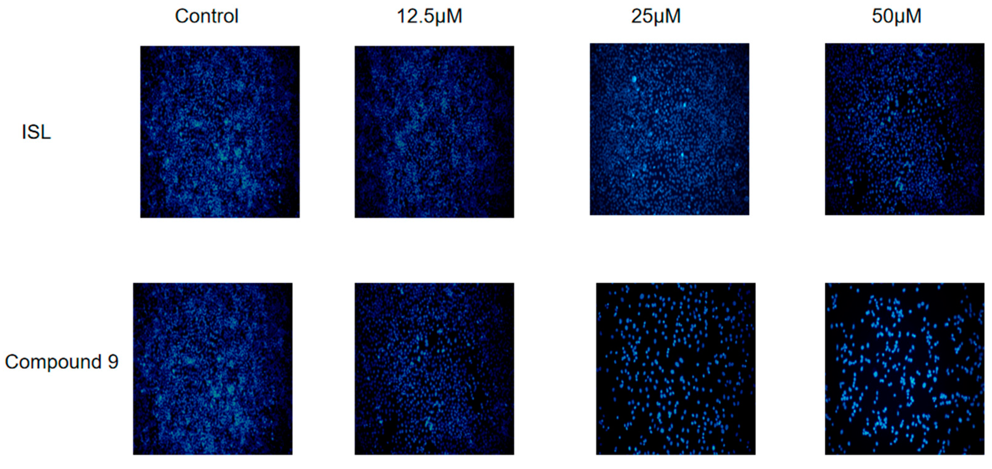Molecules 29 02641 g003