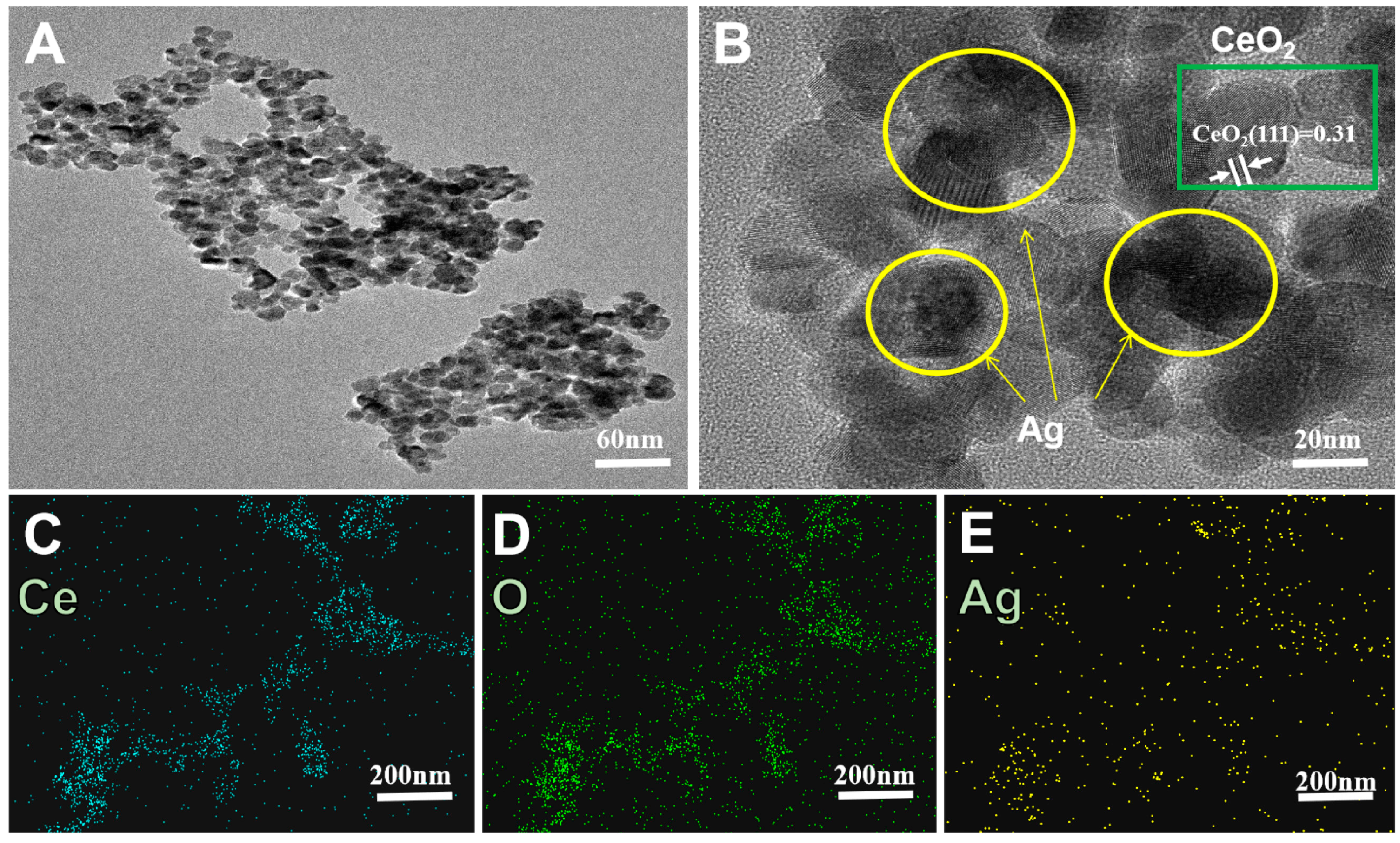 Molecules 29 02644 g002