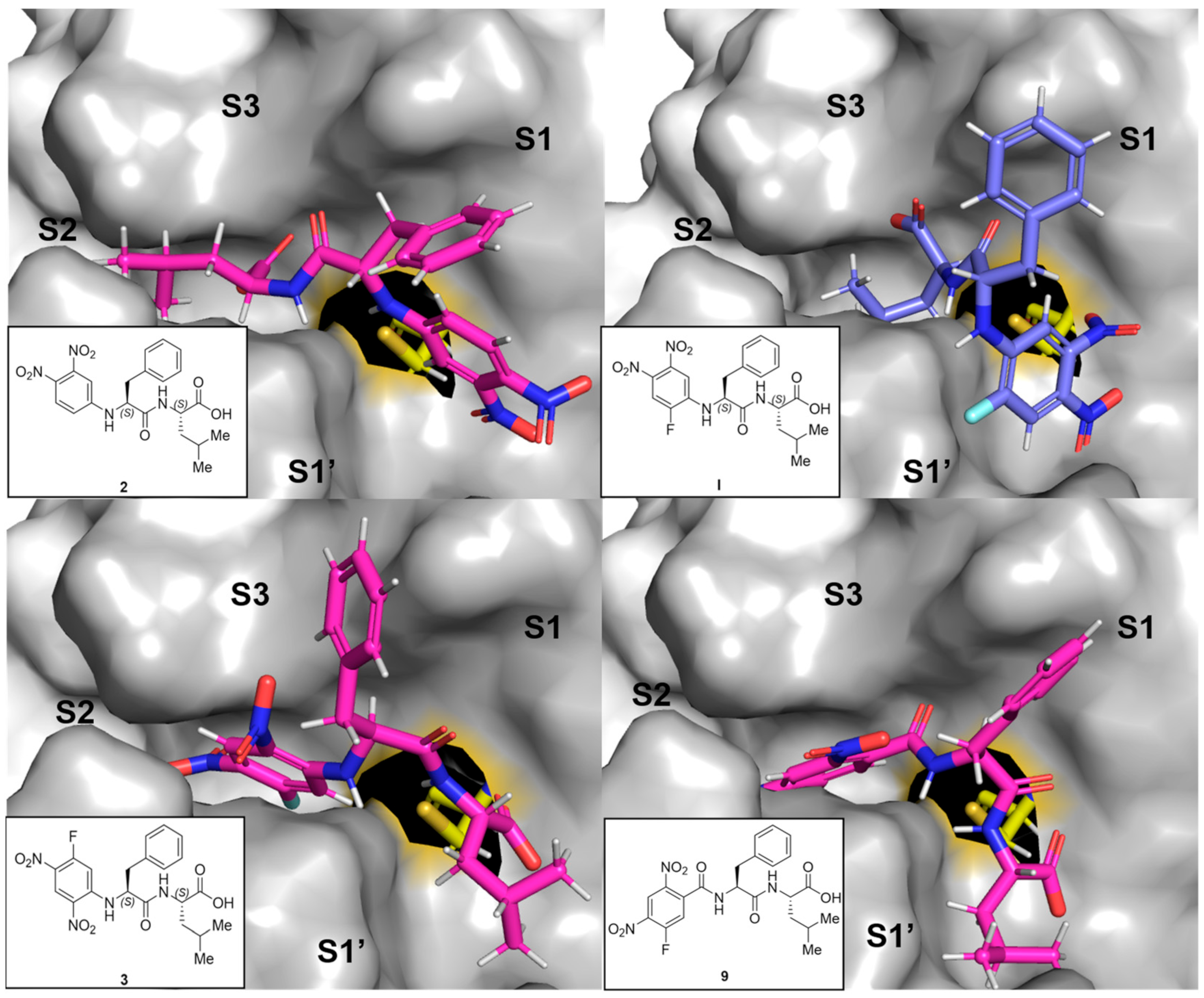 Molecules 29 02660 g004