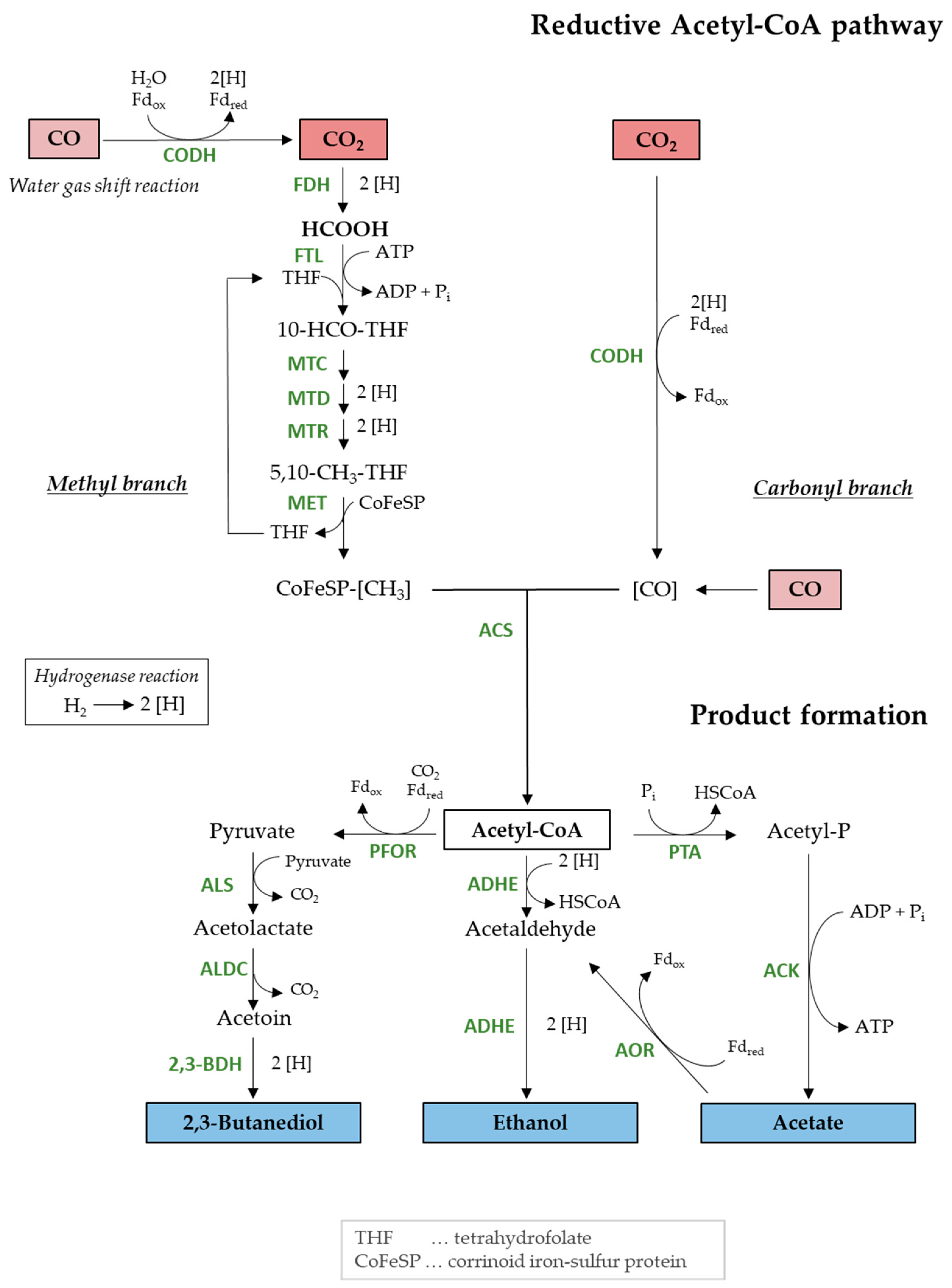 Molecules 29 02661 g001