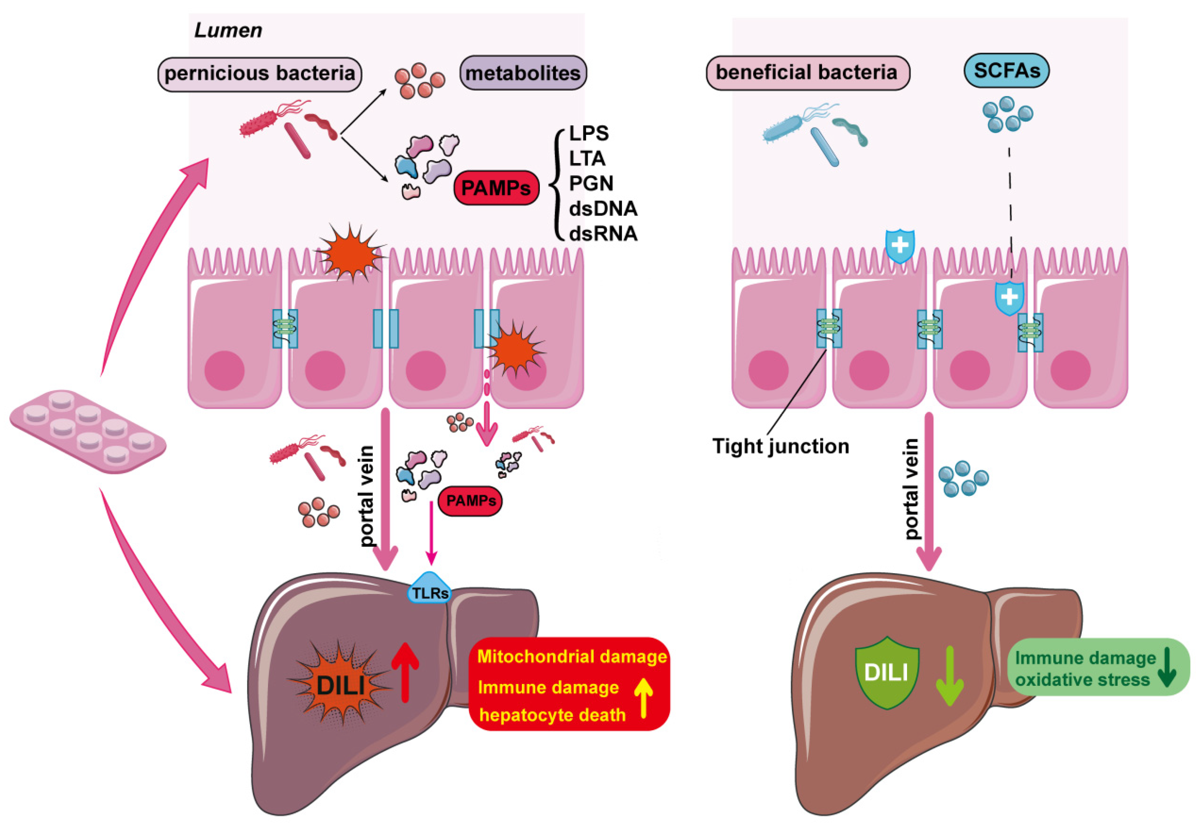 Molecules 29 02663 g002