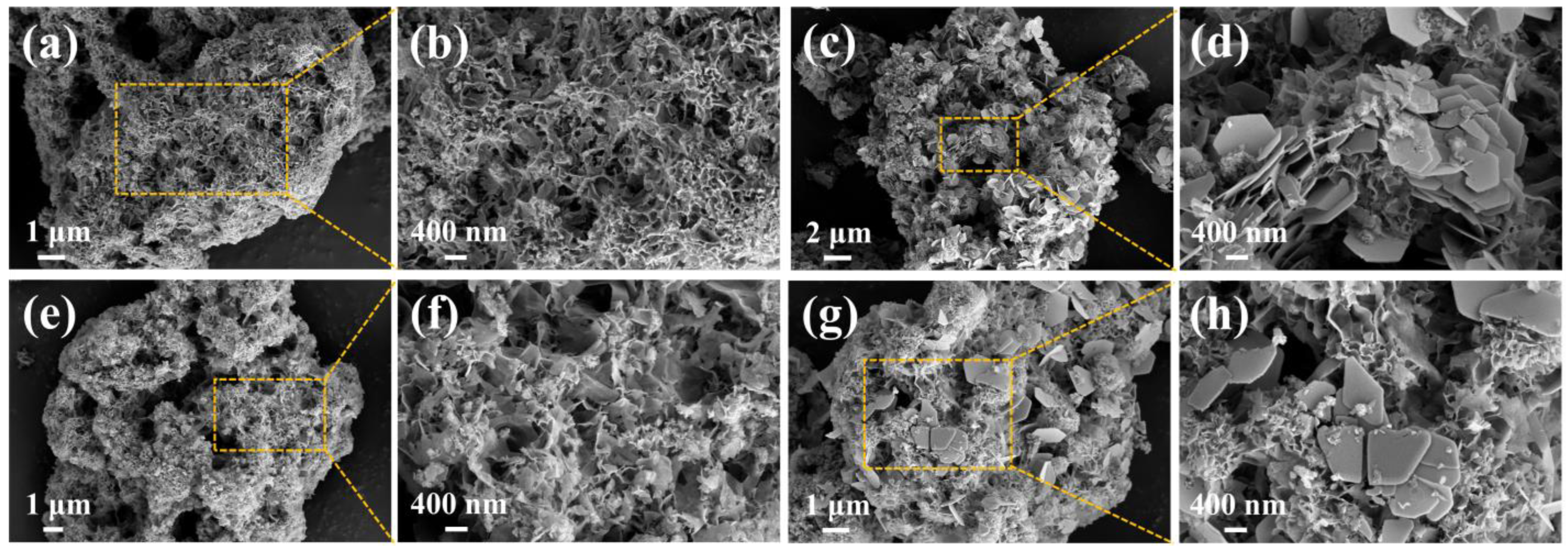 Molecules 29 02665 g010