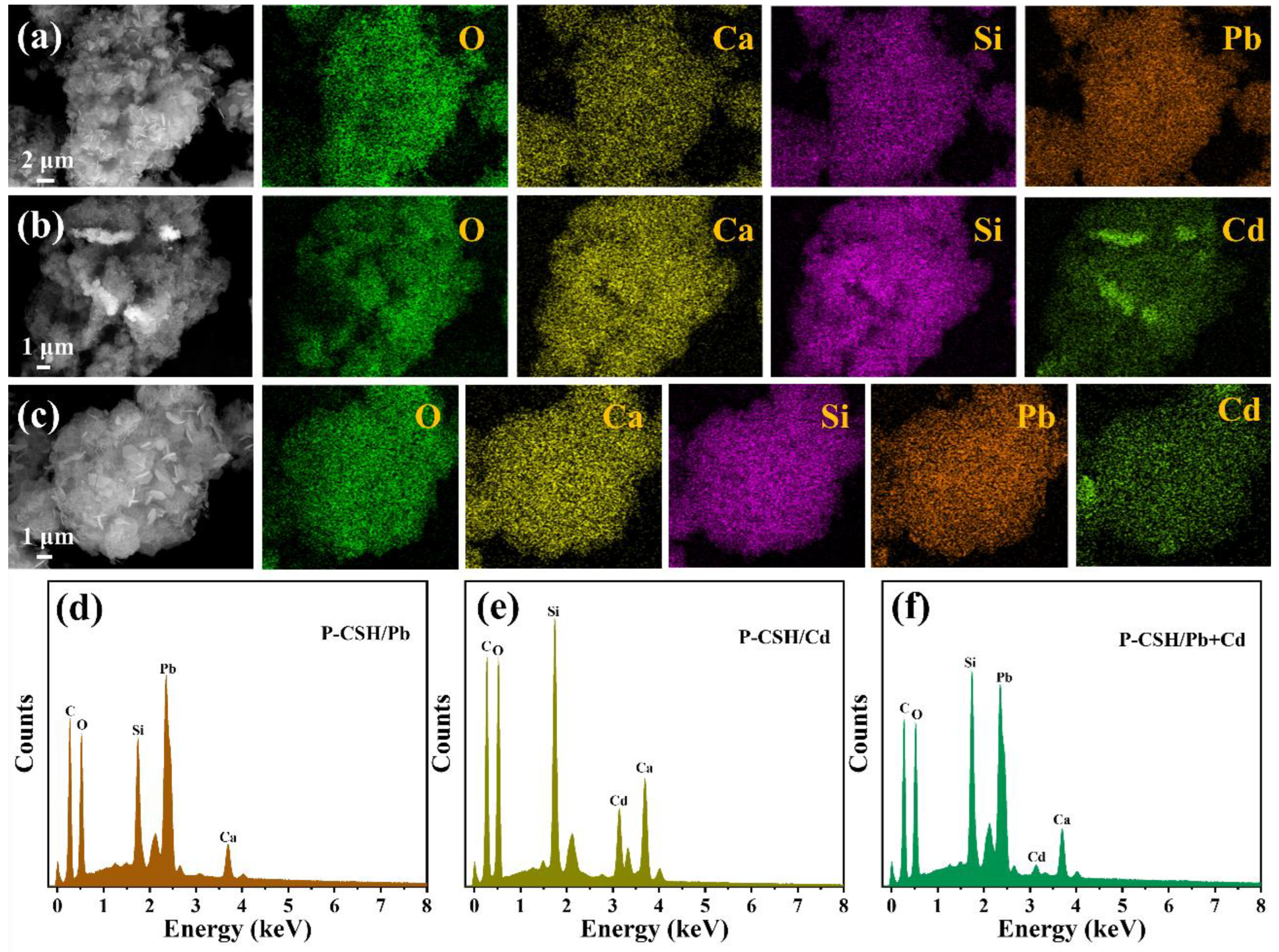 Molecules 29 02665 g011