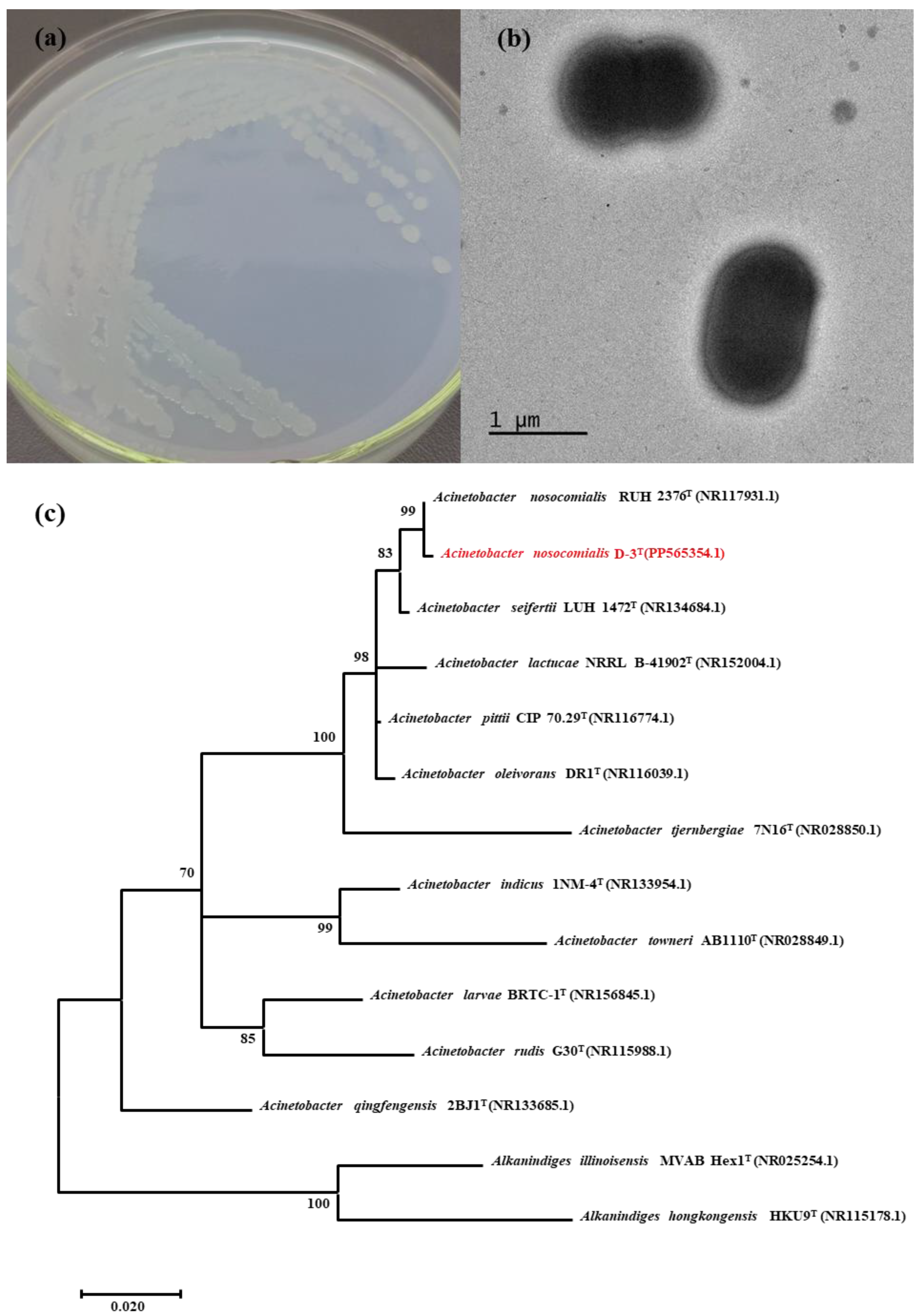 Molecules 29 02667 g003
