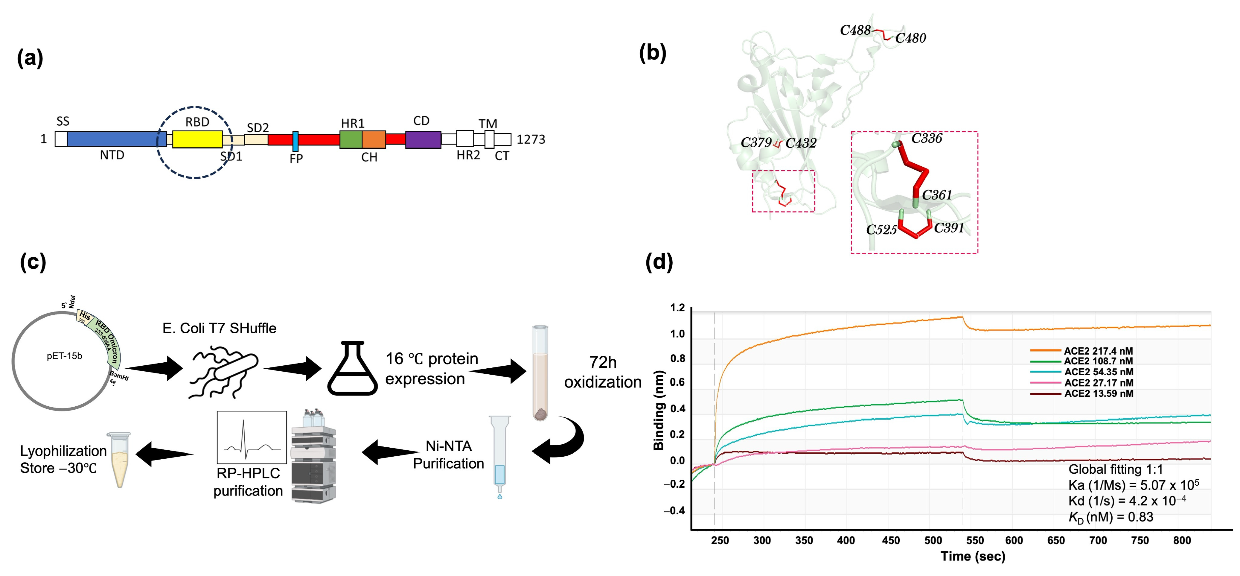 Molecules 29 02676 g001