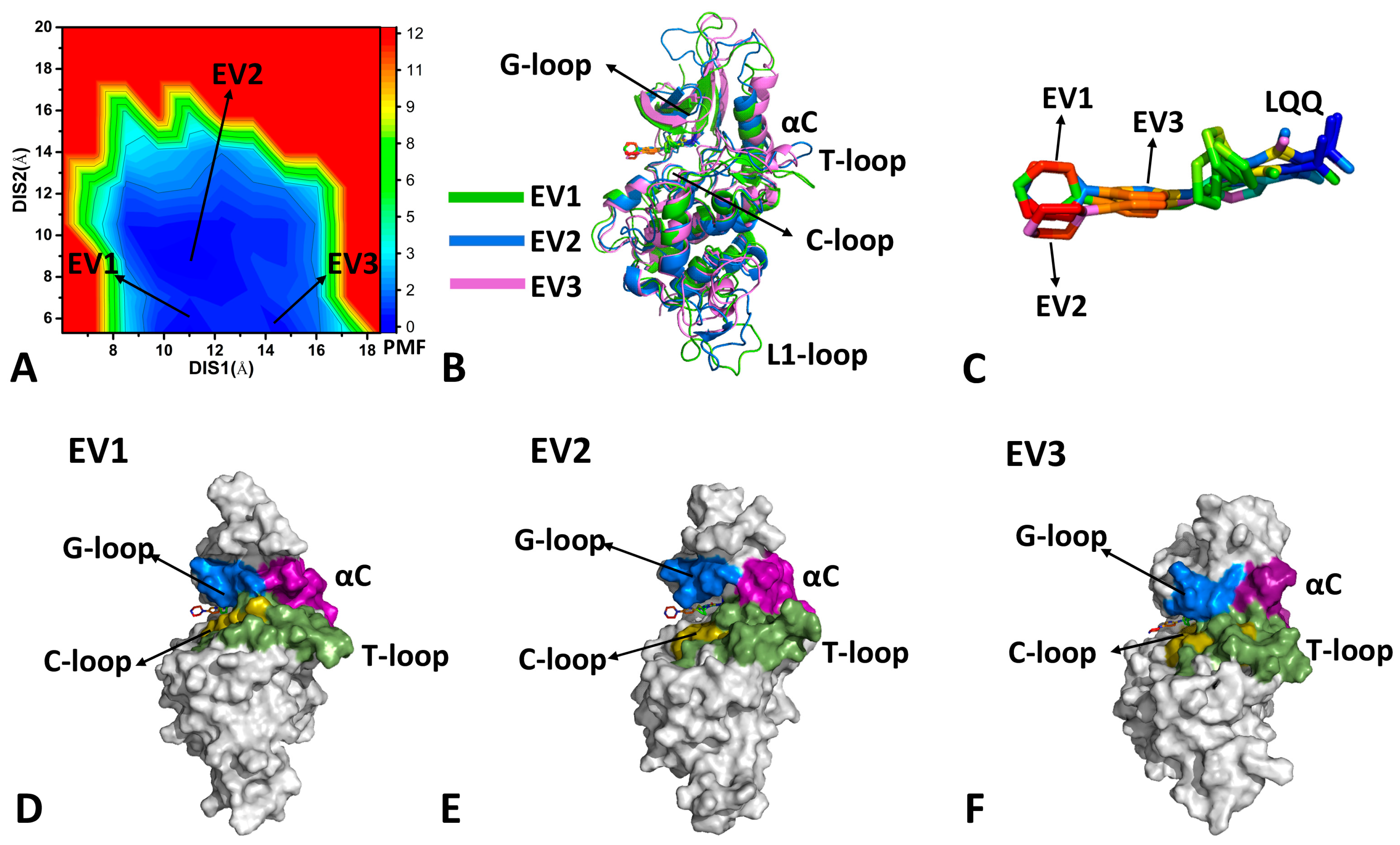 Molecules 29 02681 g004