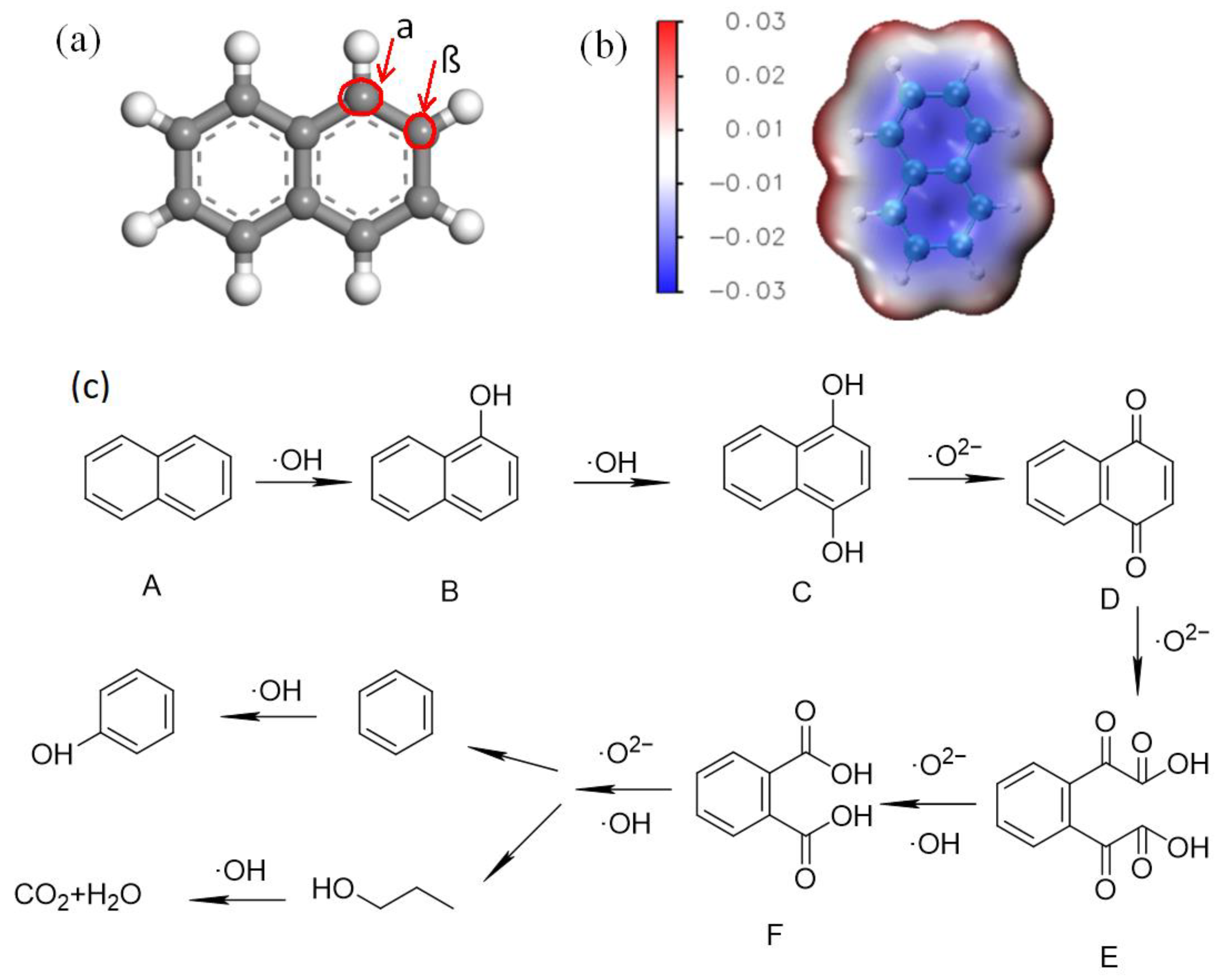 Molecules 29 02708 g008