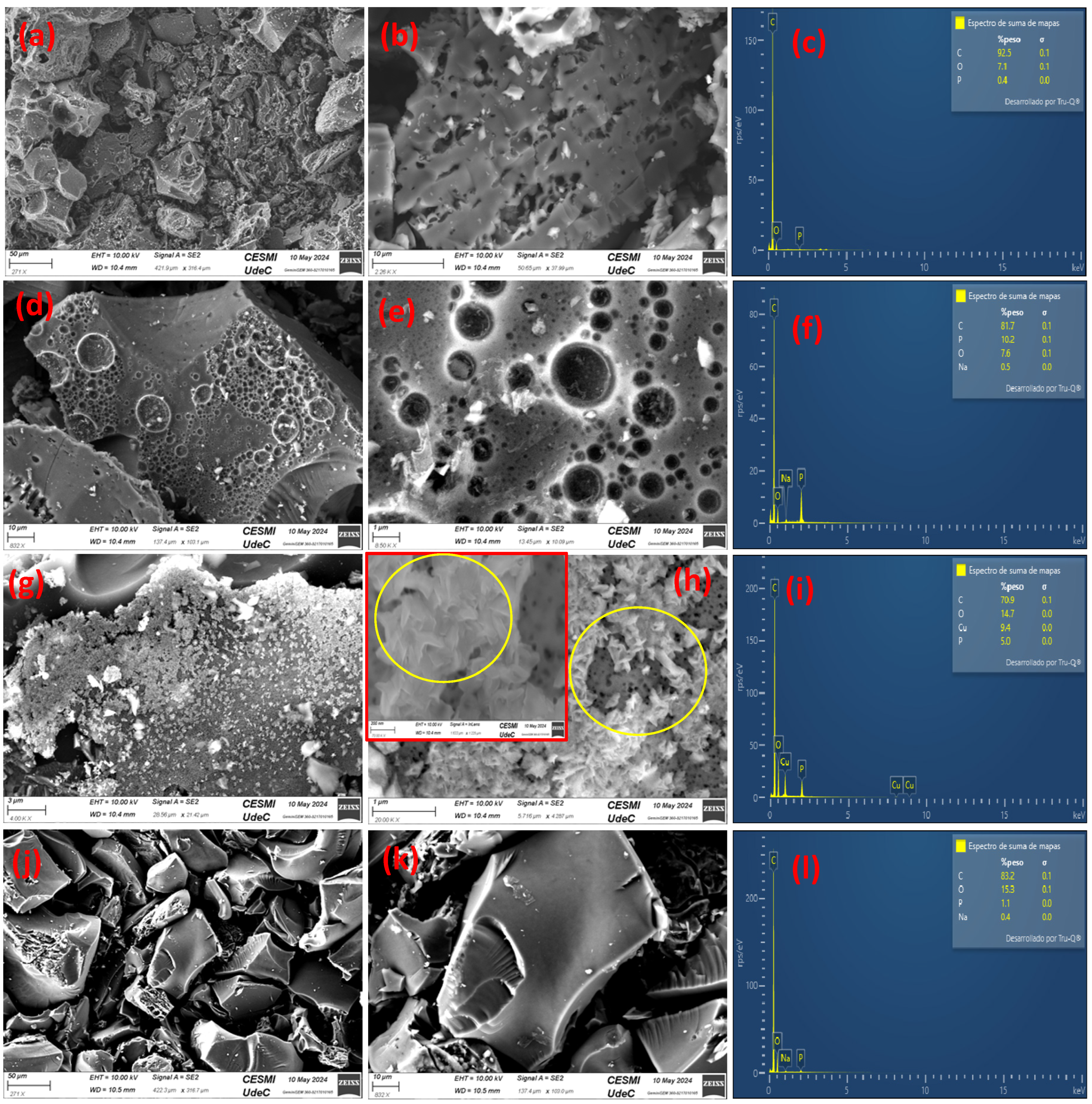 Molecules 29 02717 g004