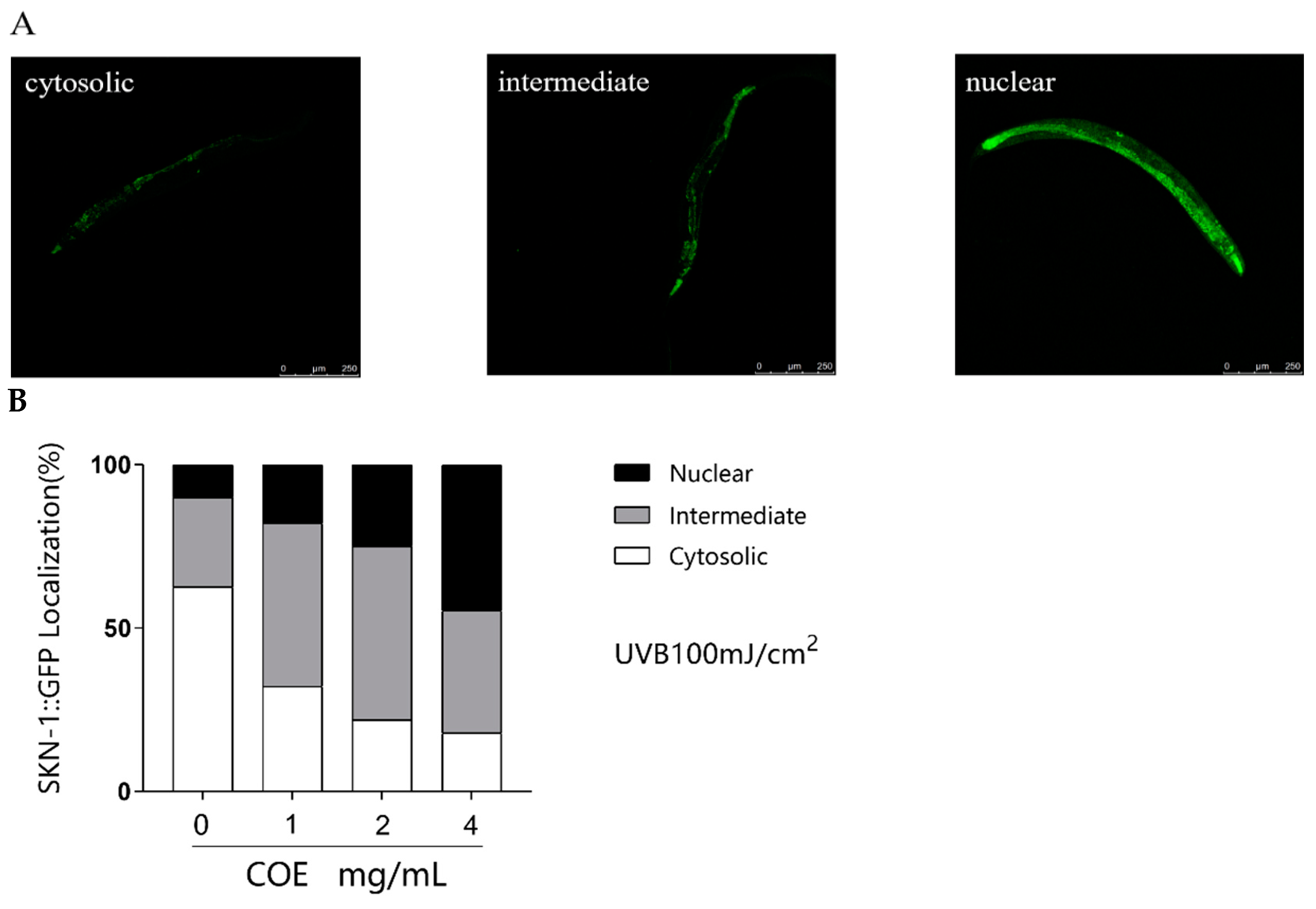 Molecules 29 02718 g007