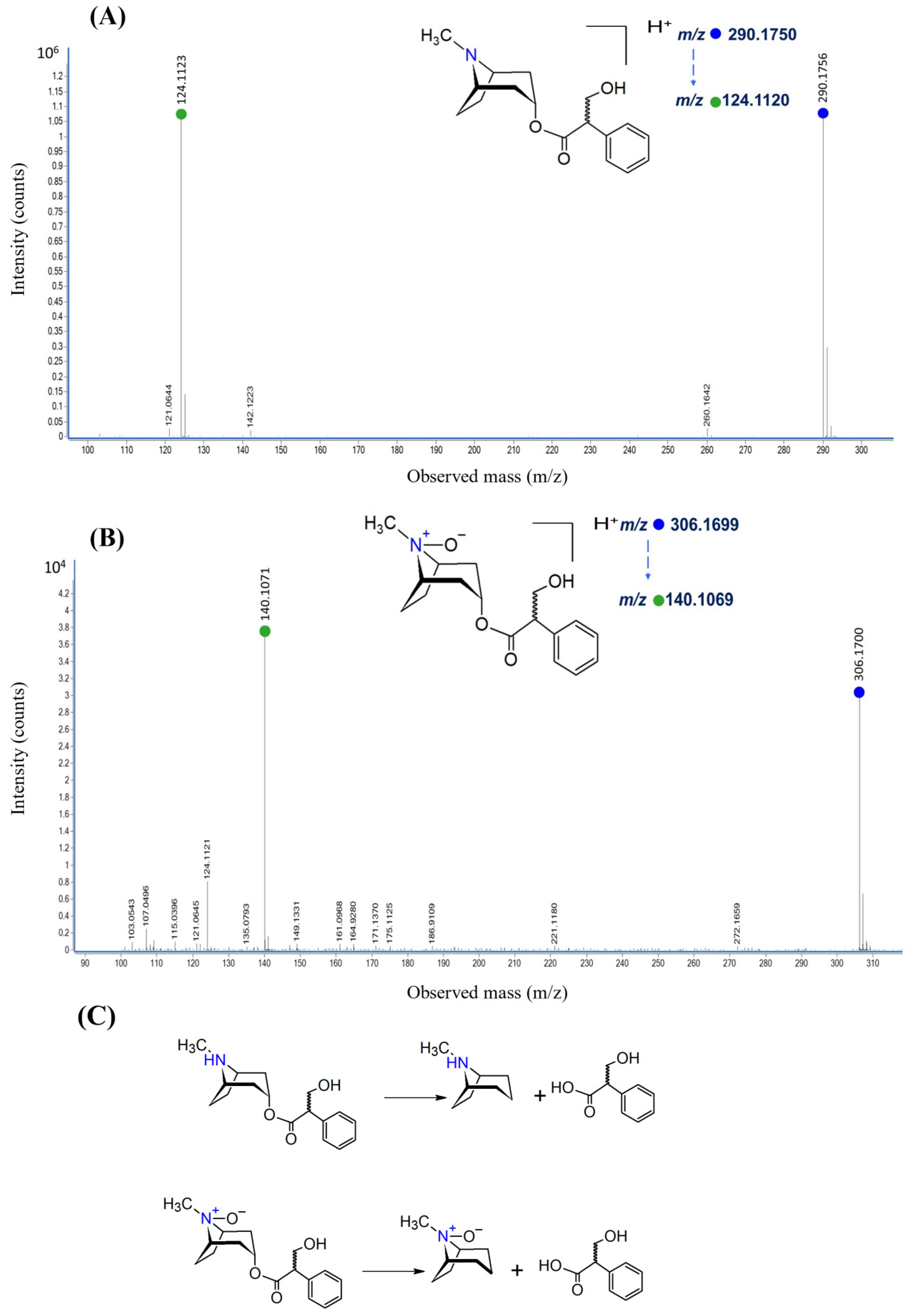 Molecules 29 02721 g003