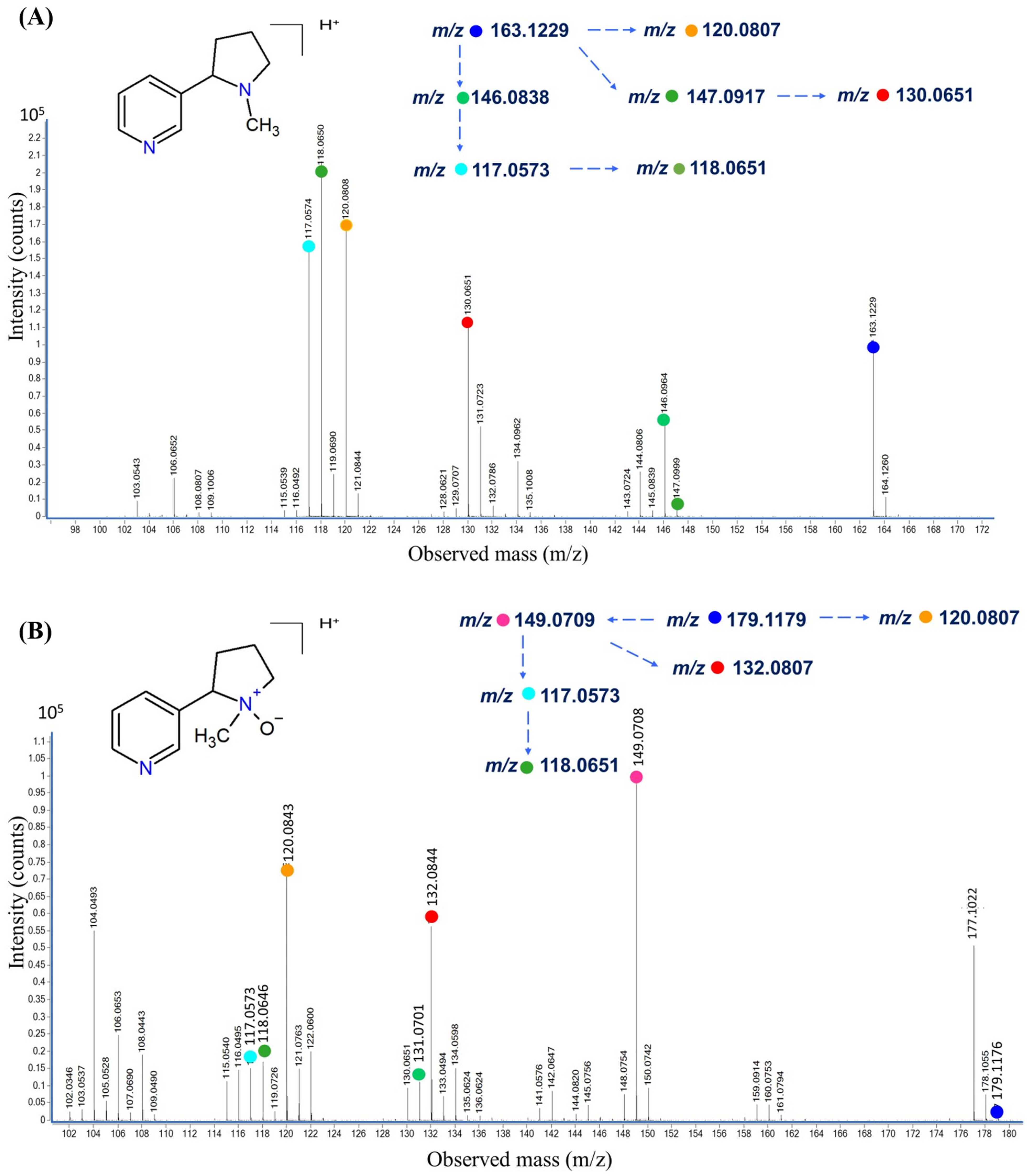 Molecules 29 02721 g005