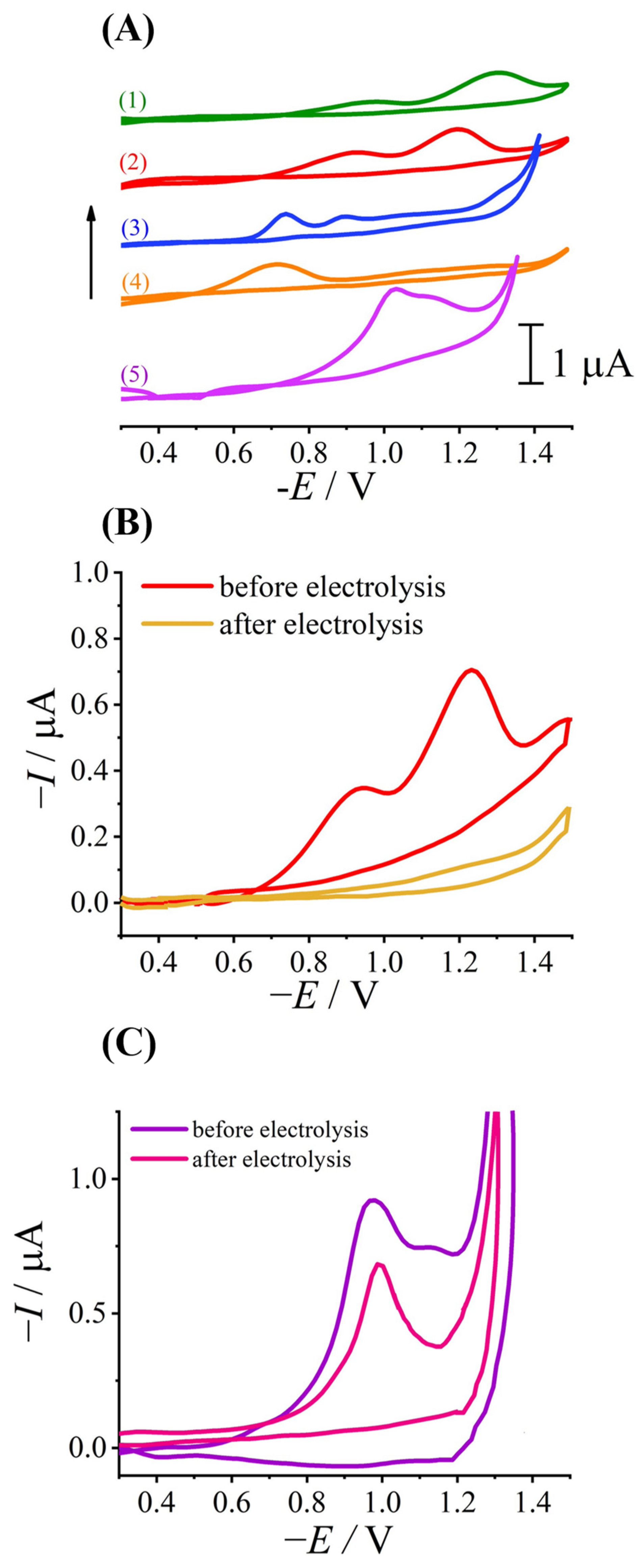 Molecules 29 02721 g007