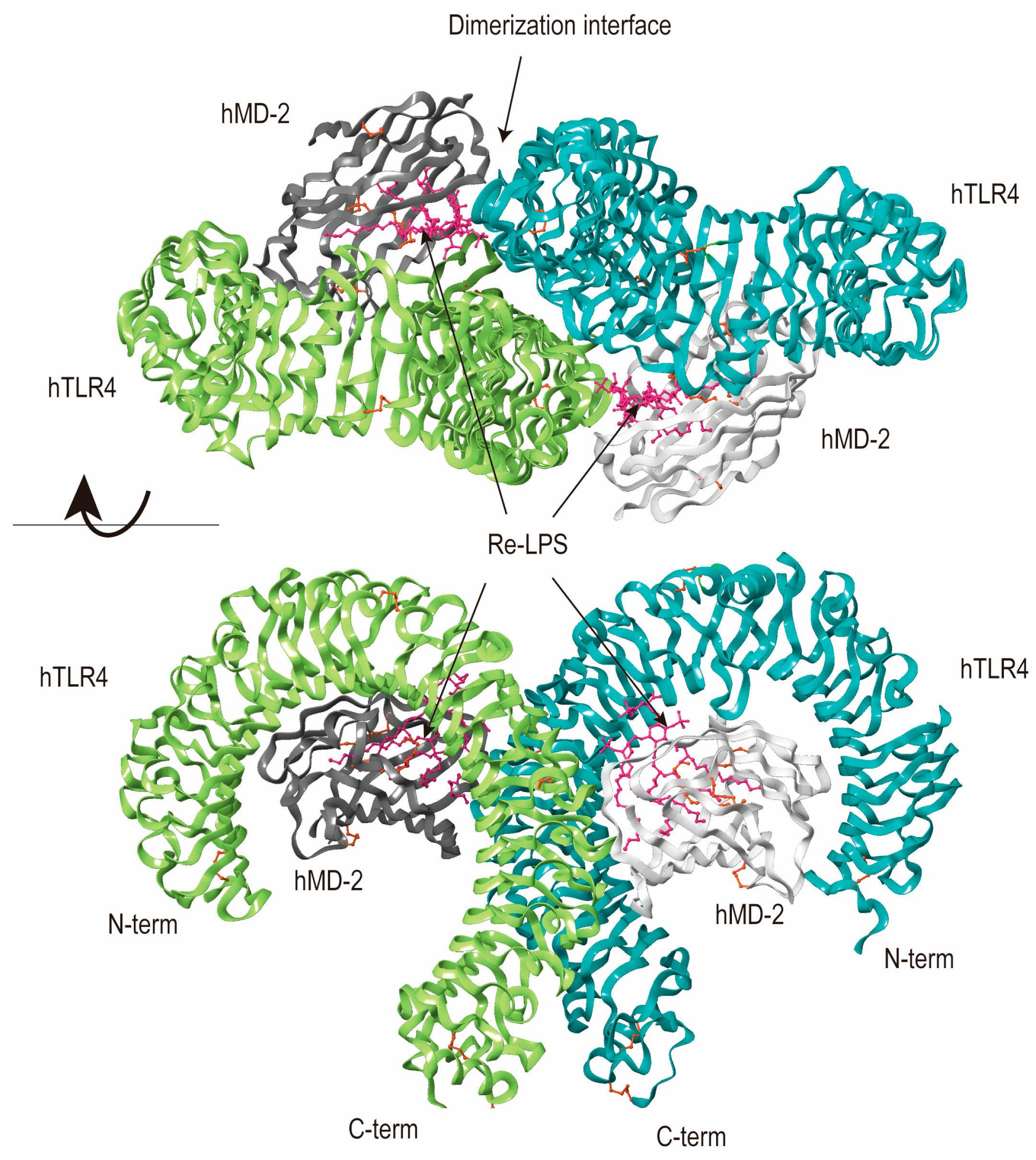 Molecules 29 02727 g002 Molecules 29 02727 g002