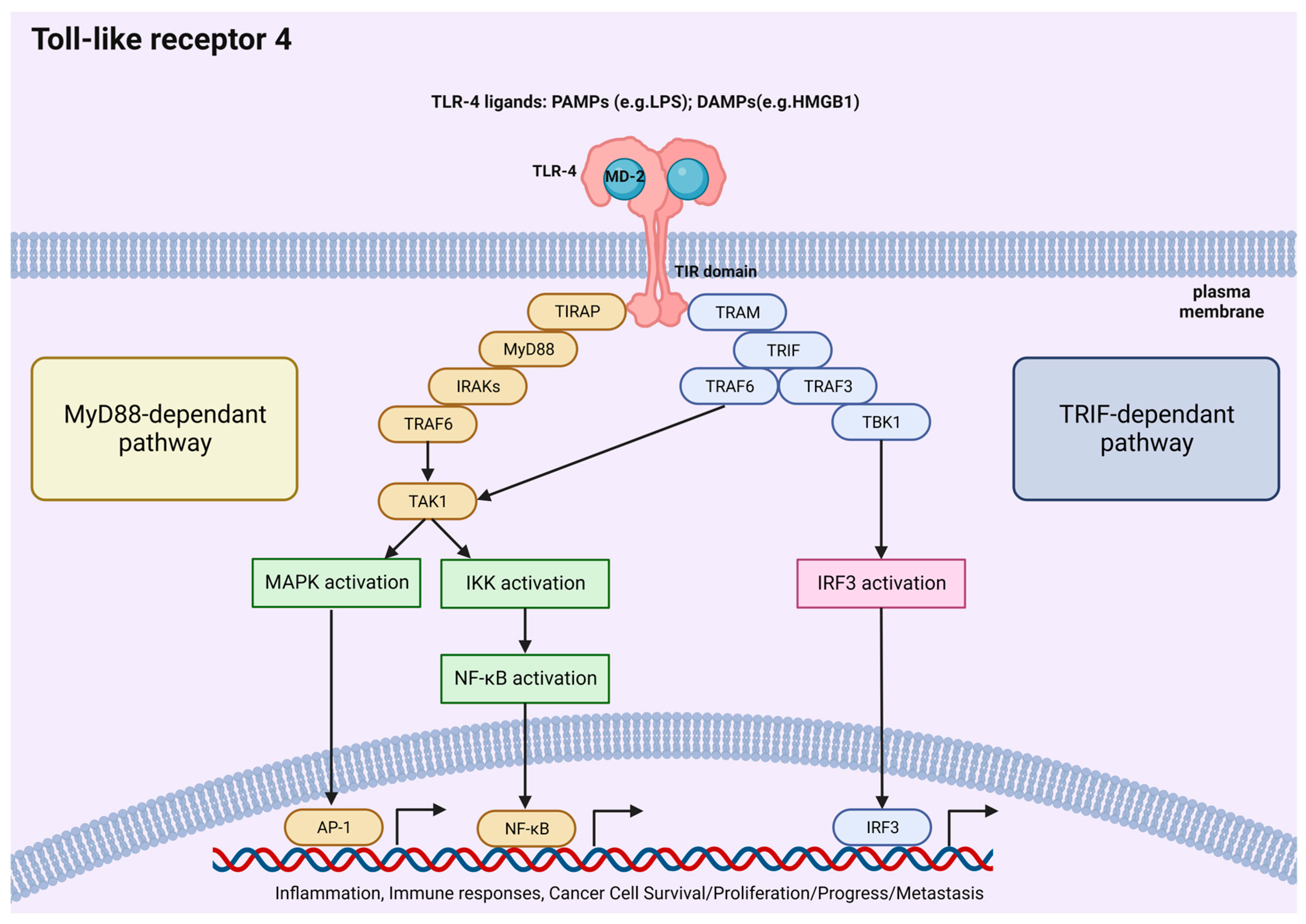 Molecules 29 02727 g003 Molecules 29 02727 g003