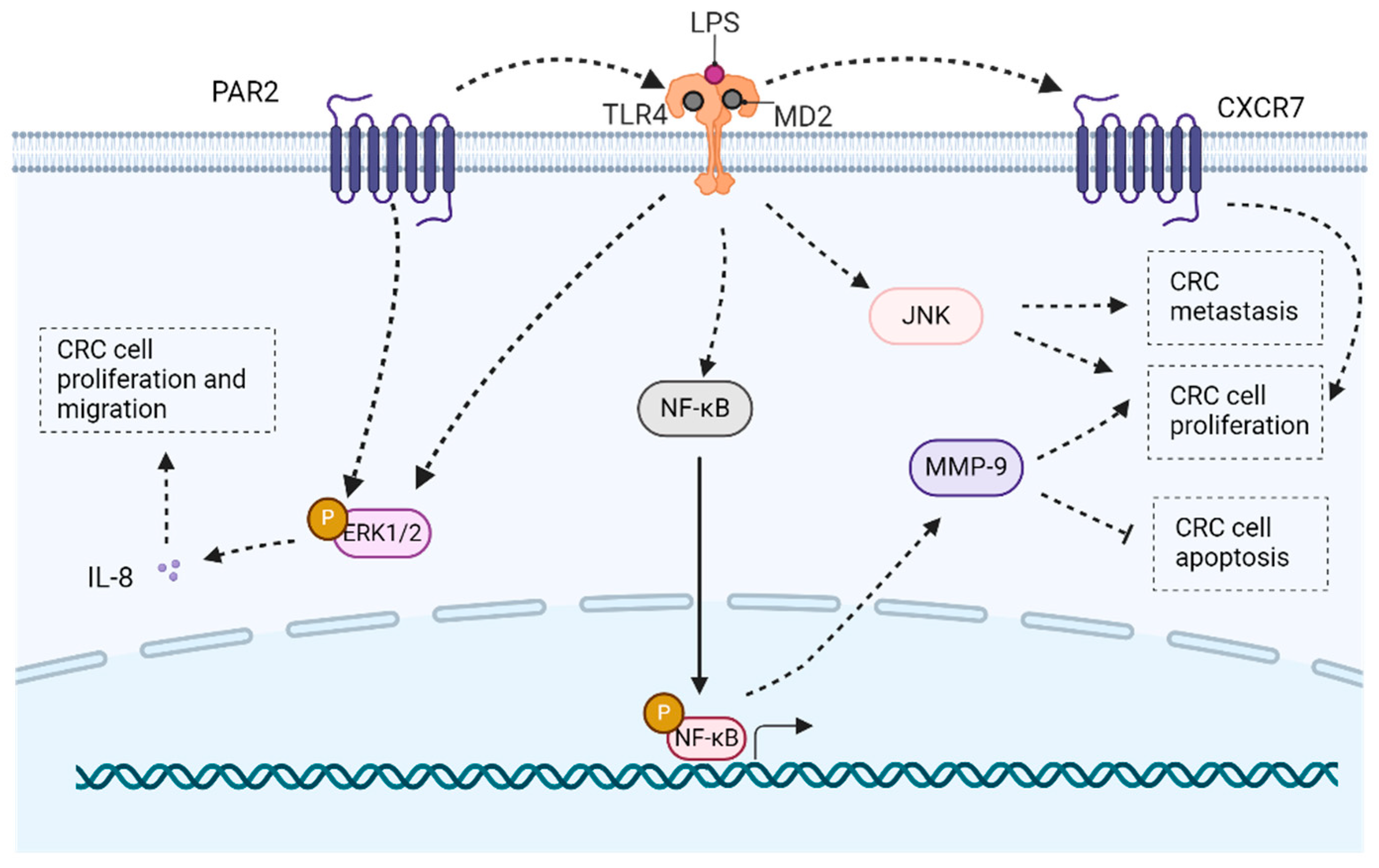Molecules 29 02727 g005 Molecules 29 02727 g005