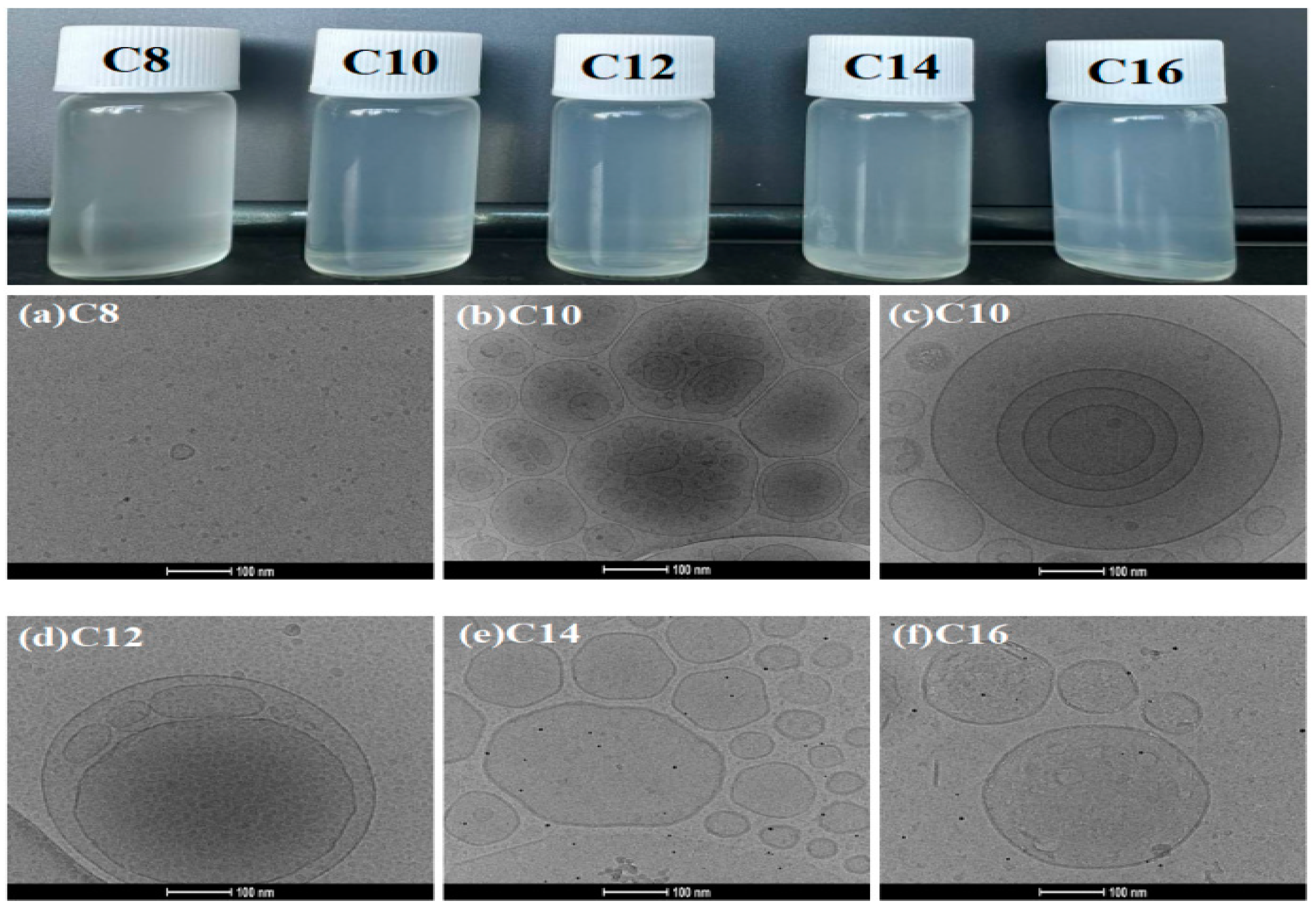 Molecules 29 02749 g005