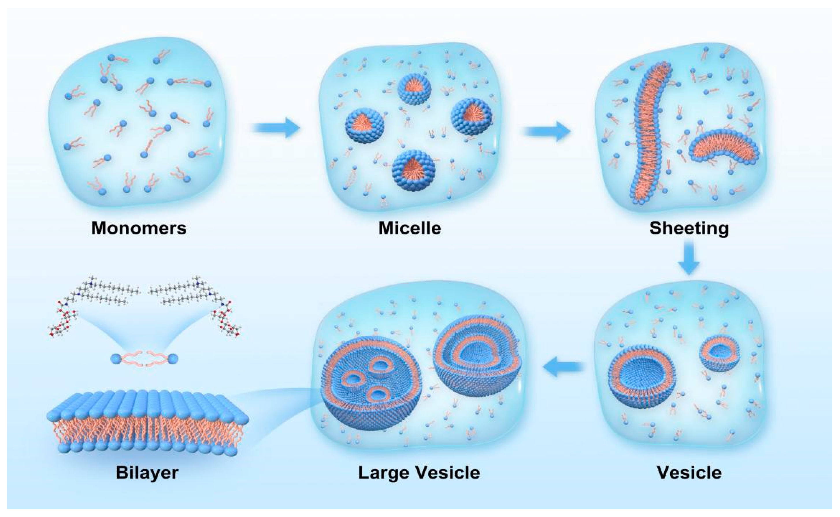 Molecules 29 02749 g006