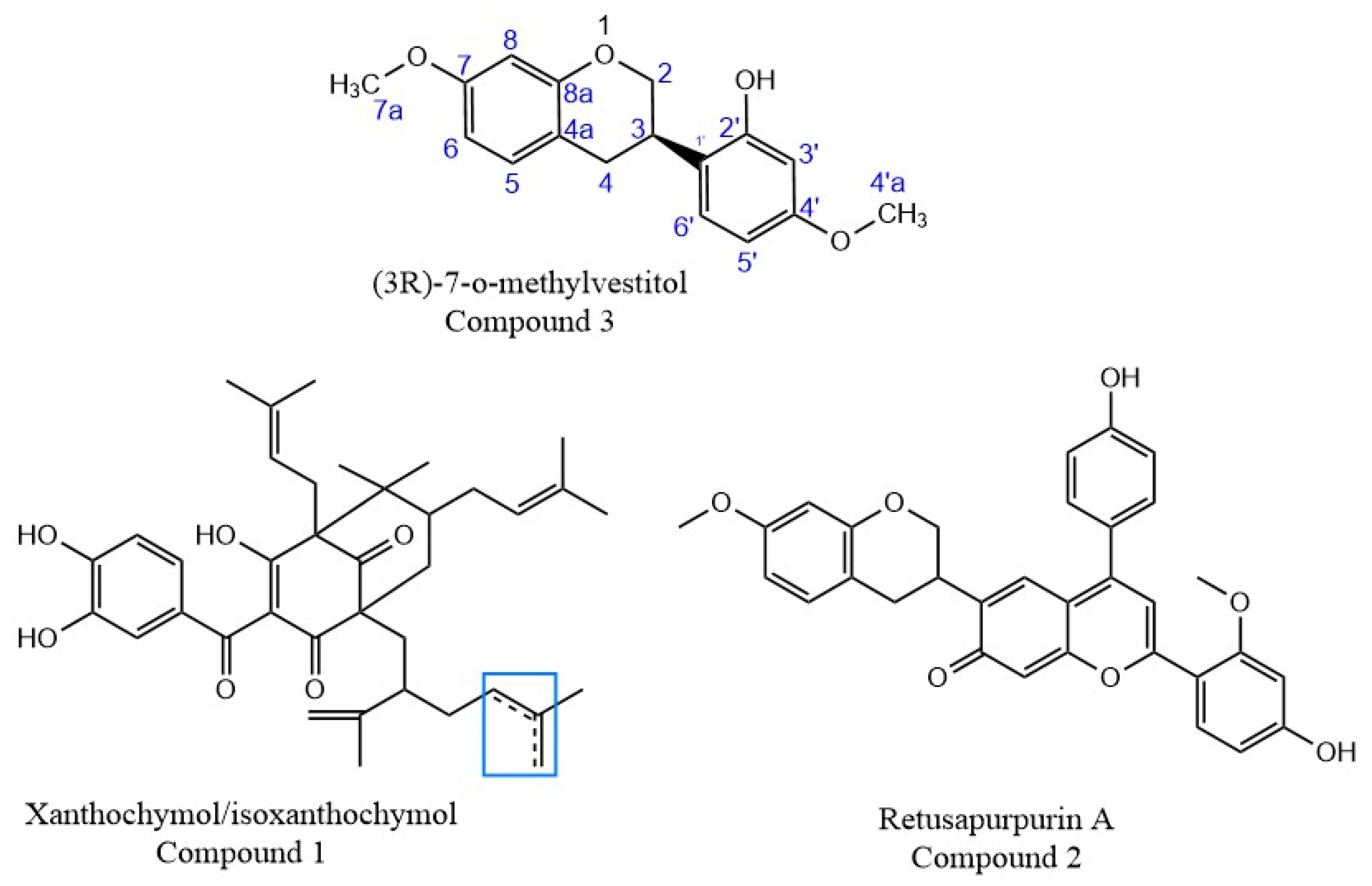 Molecules 29 02757 g004