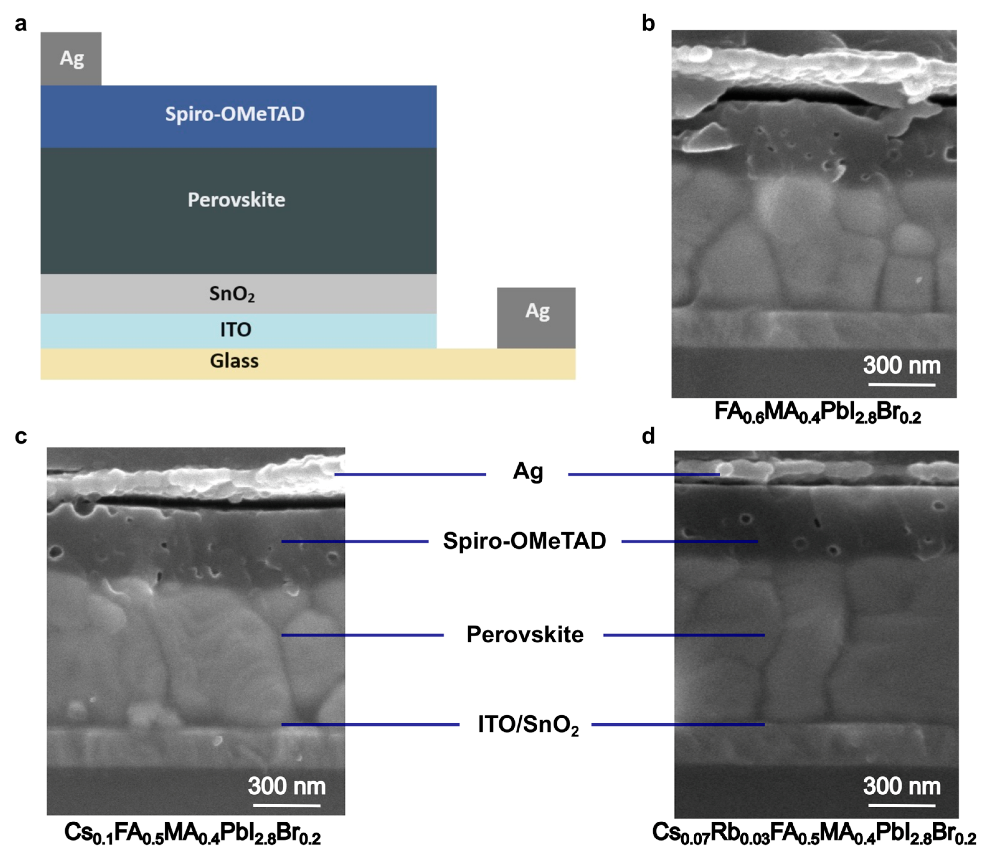 Molecules 29 02758 g001