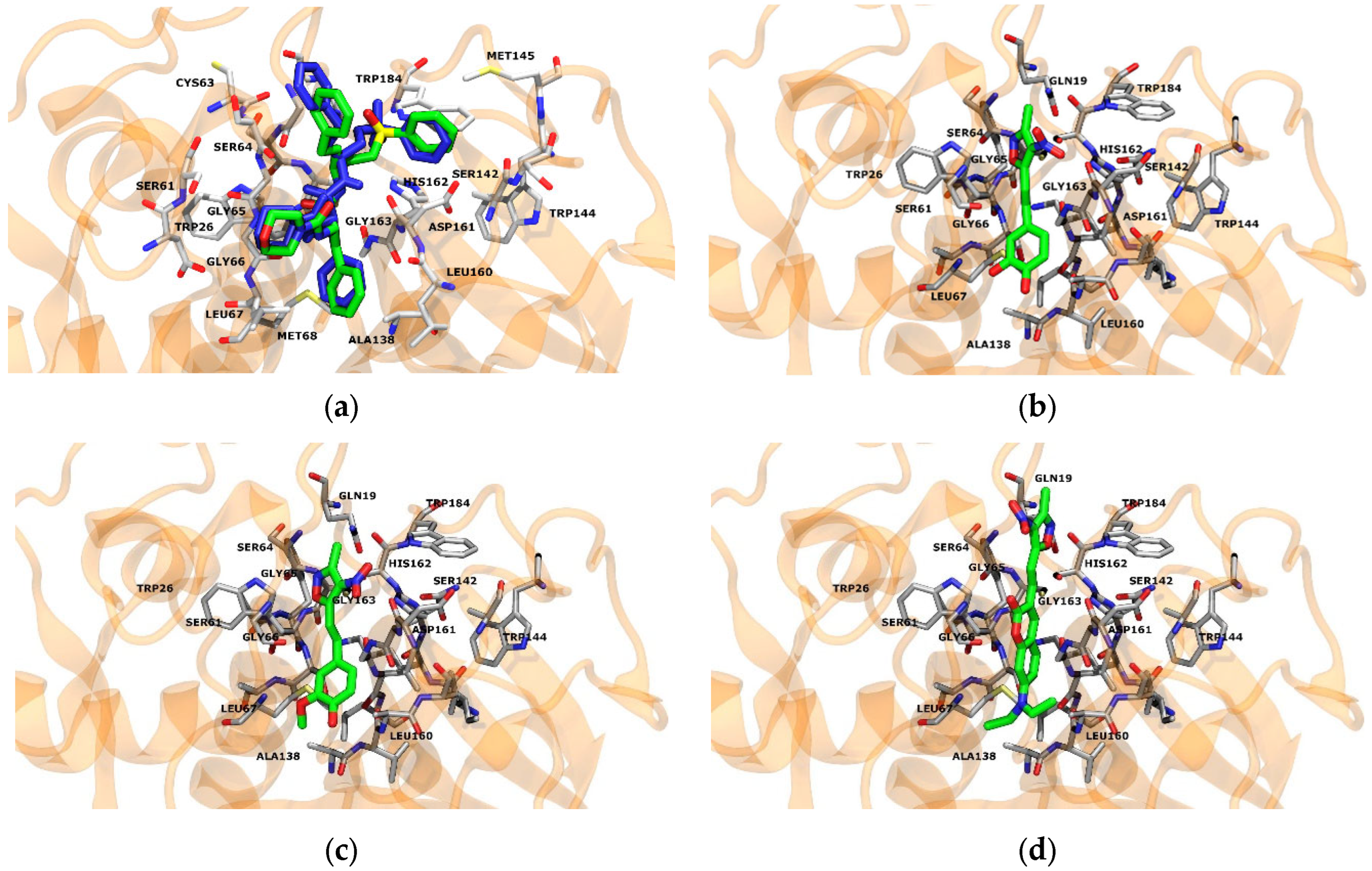 Molecules 29 02762 g004