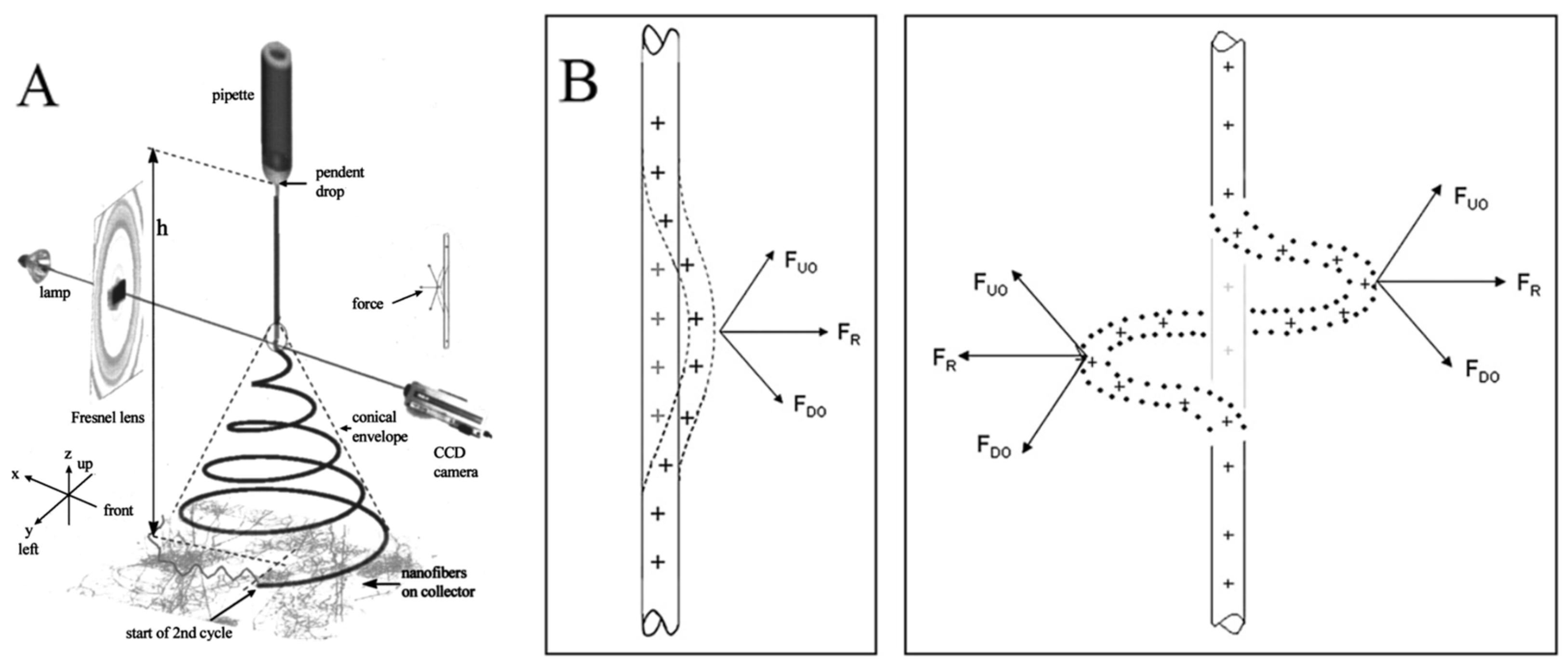 Molecules 29 02769 g002