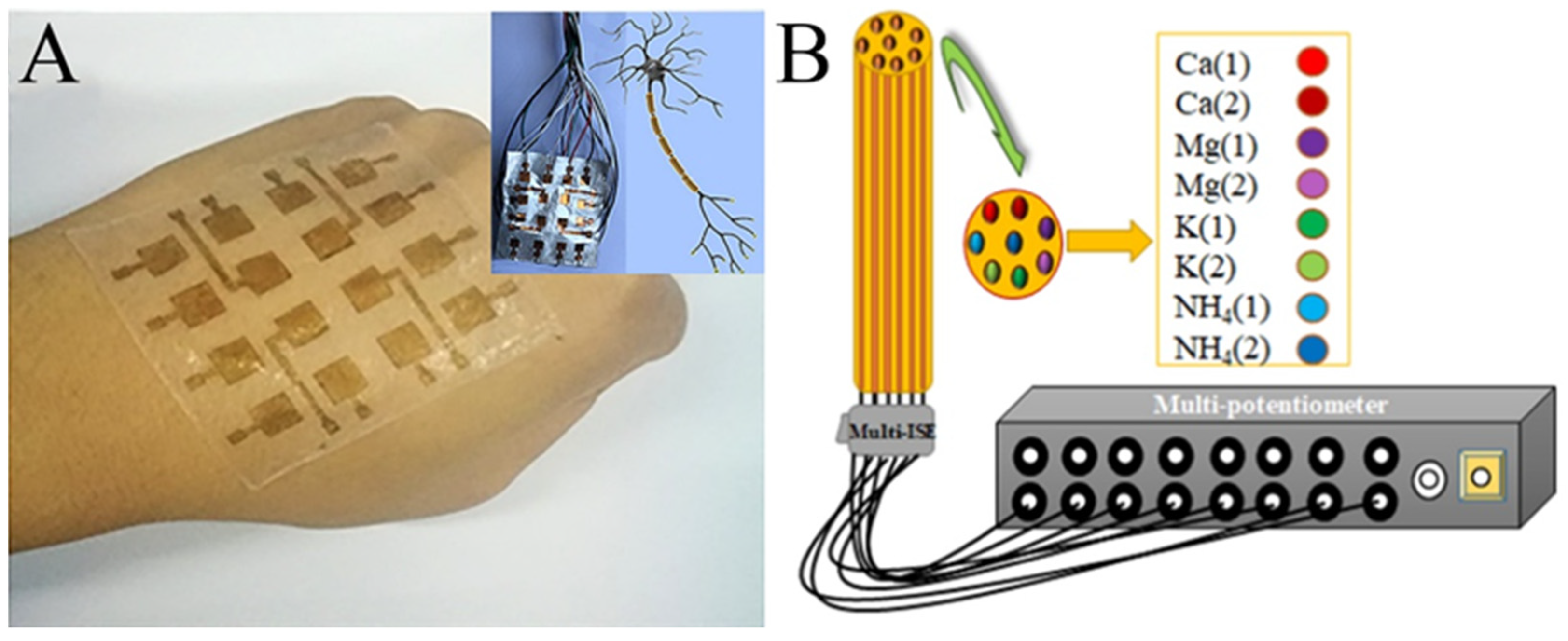 Molecules 29 02769 g010