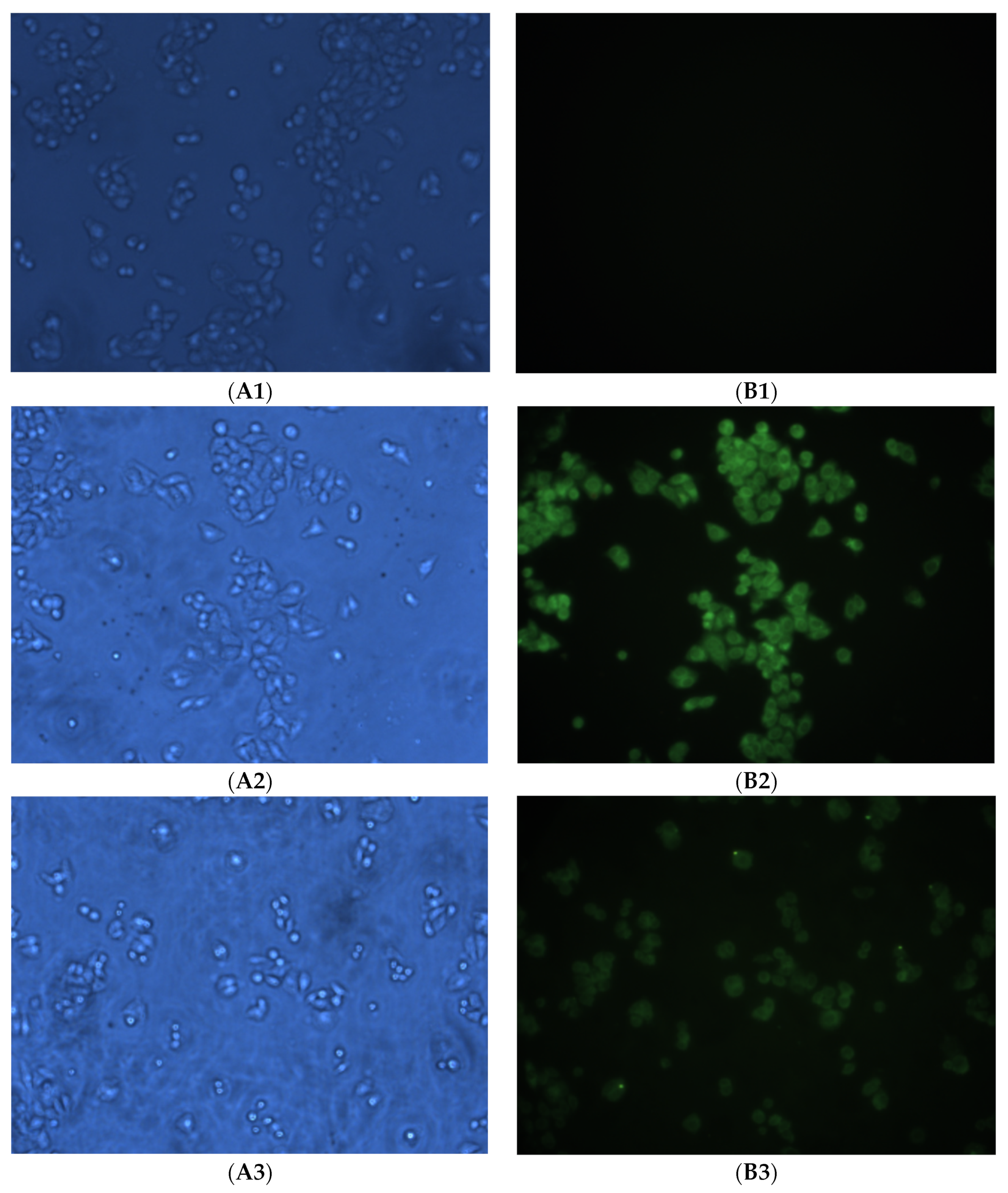 Molecules 29 02774 g008