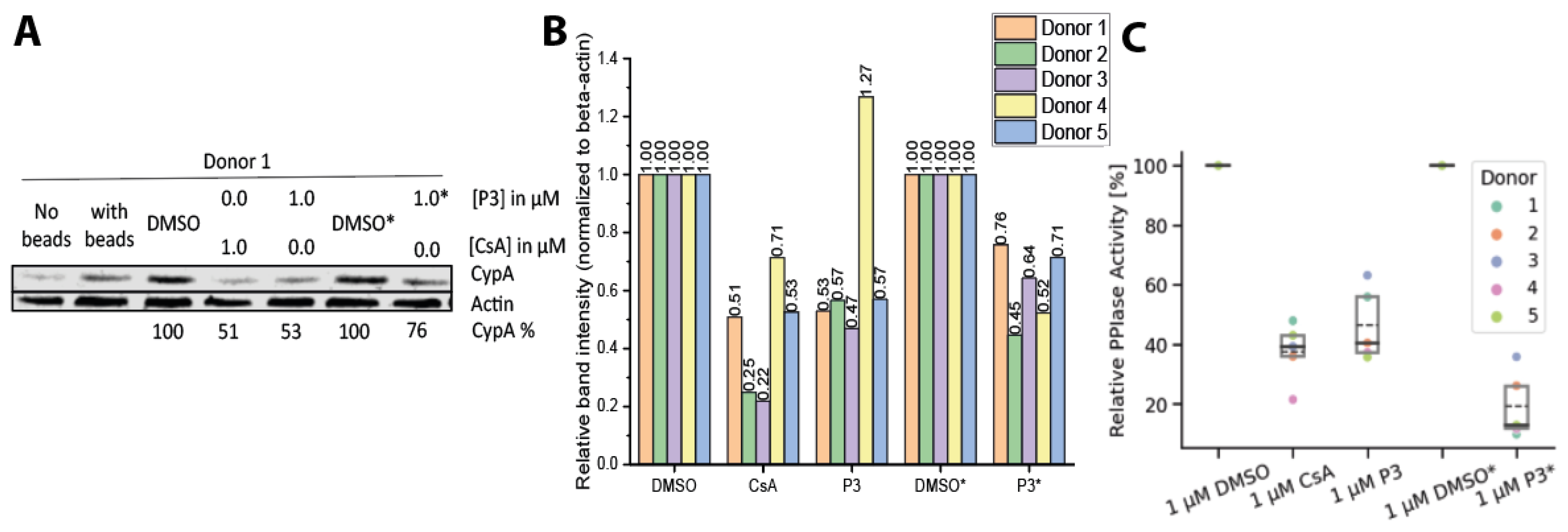 Molecules 29 02779 g003
