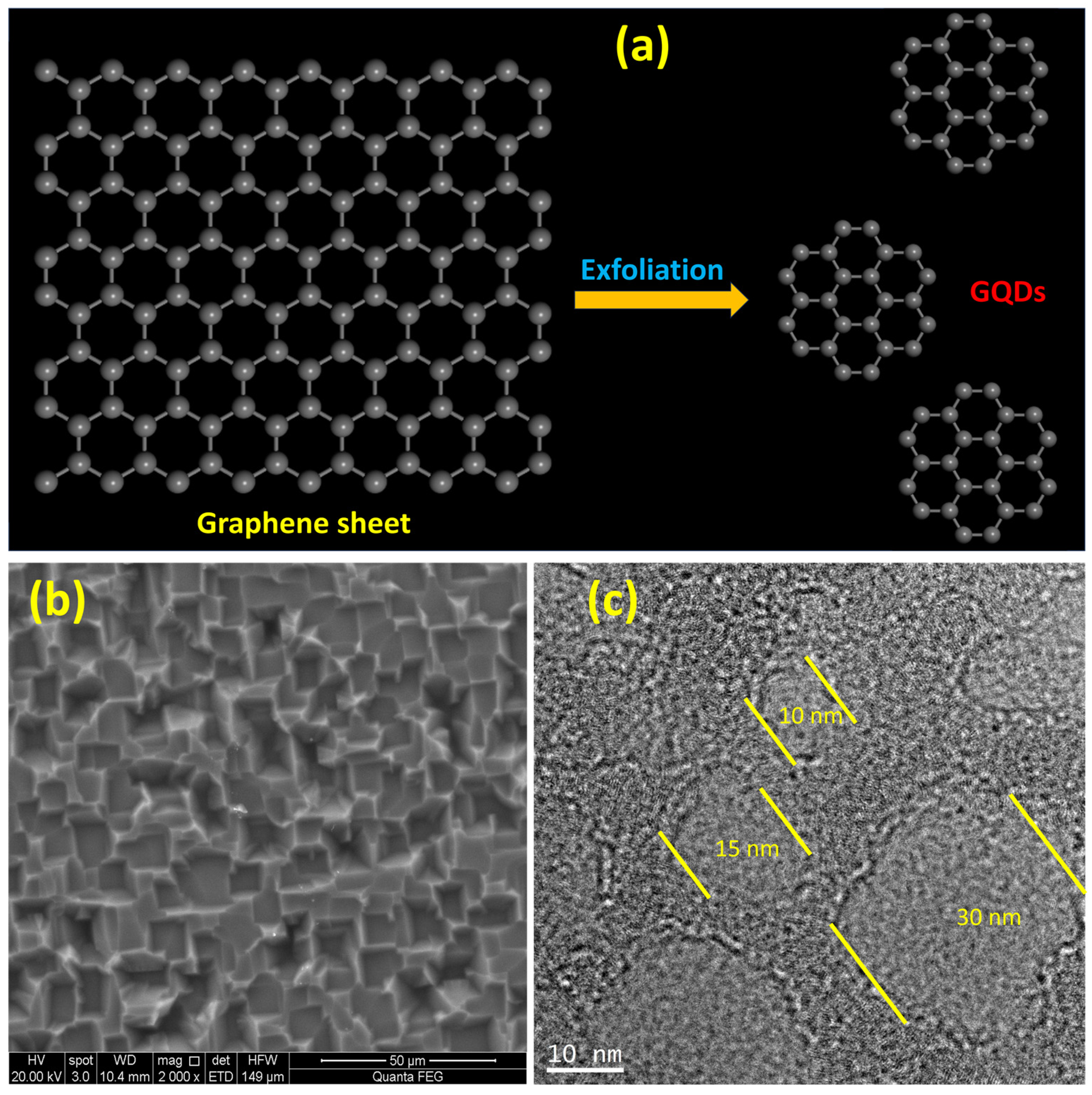 Molecules 29 02790 g001