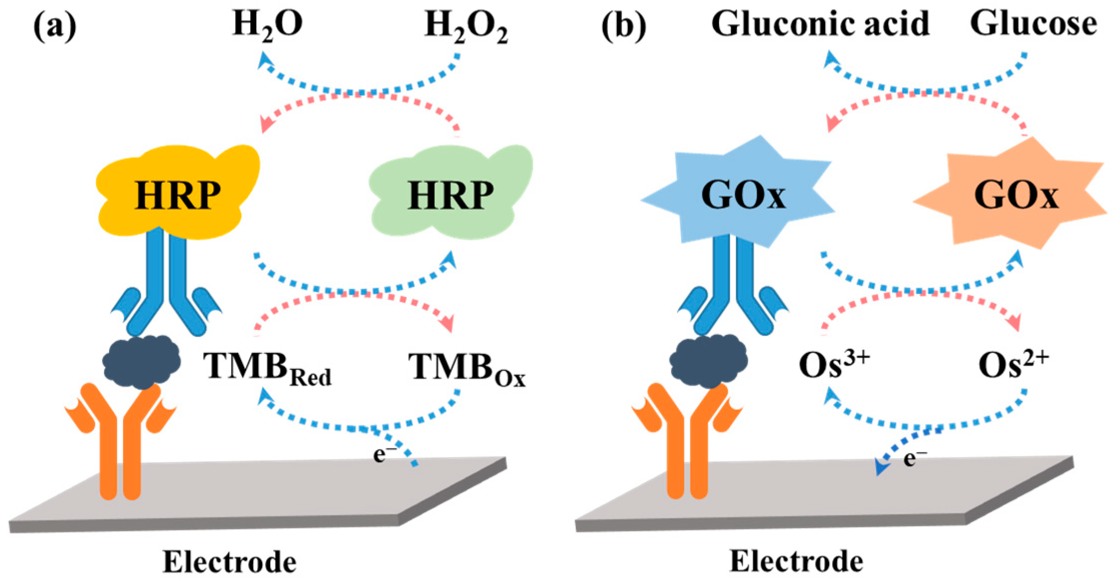 Molecules 29 02796 g001