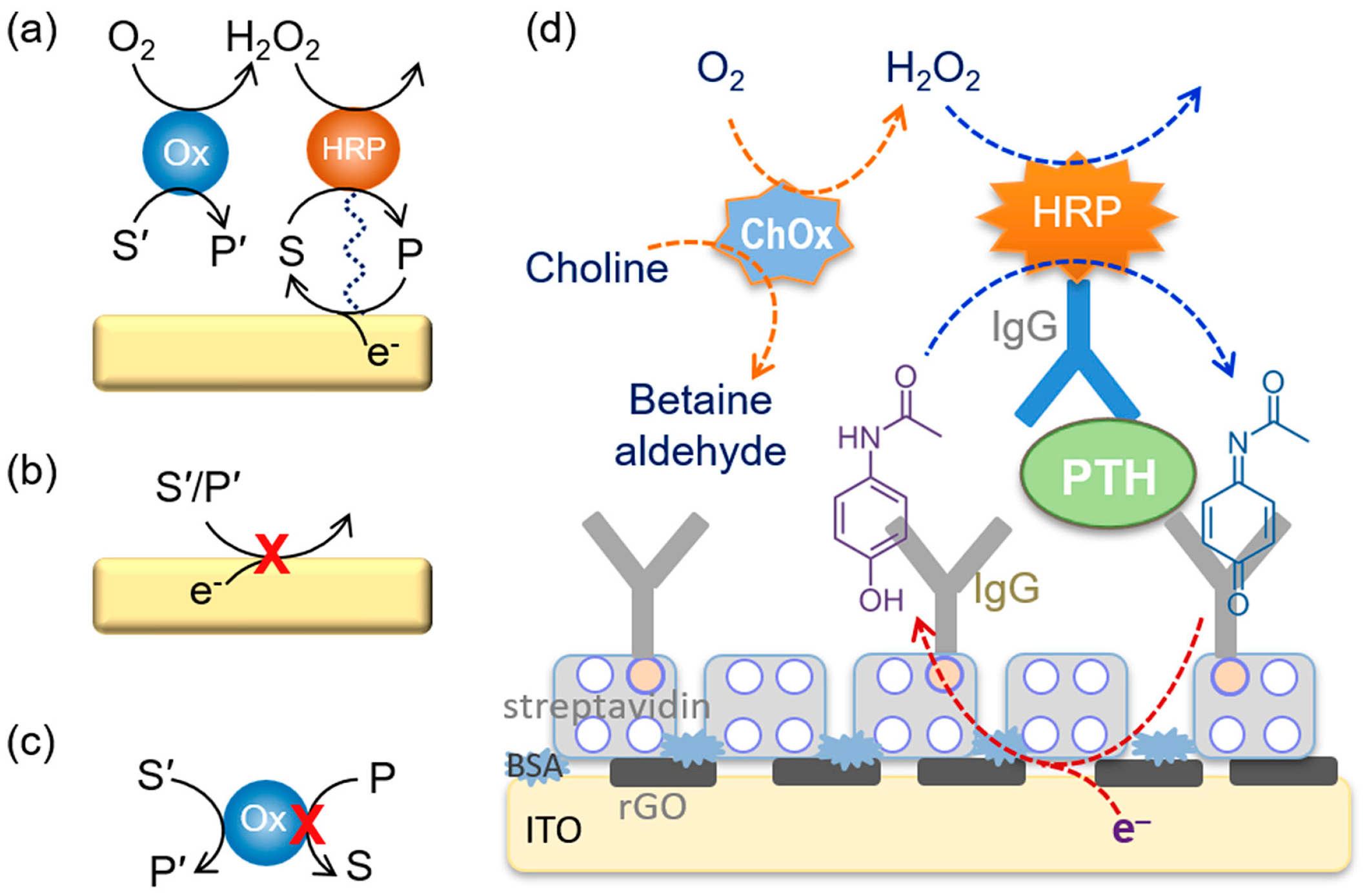 Molecules 29 02796 g007