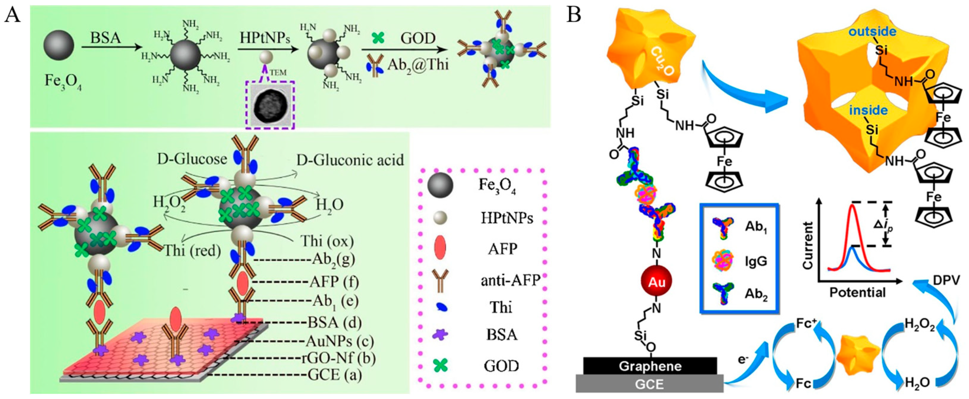 Molecules 29 02796 g020