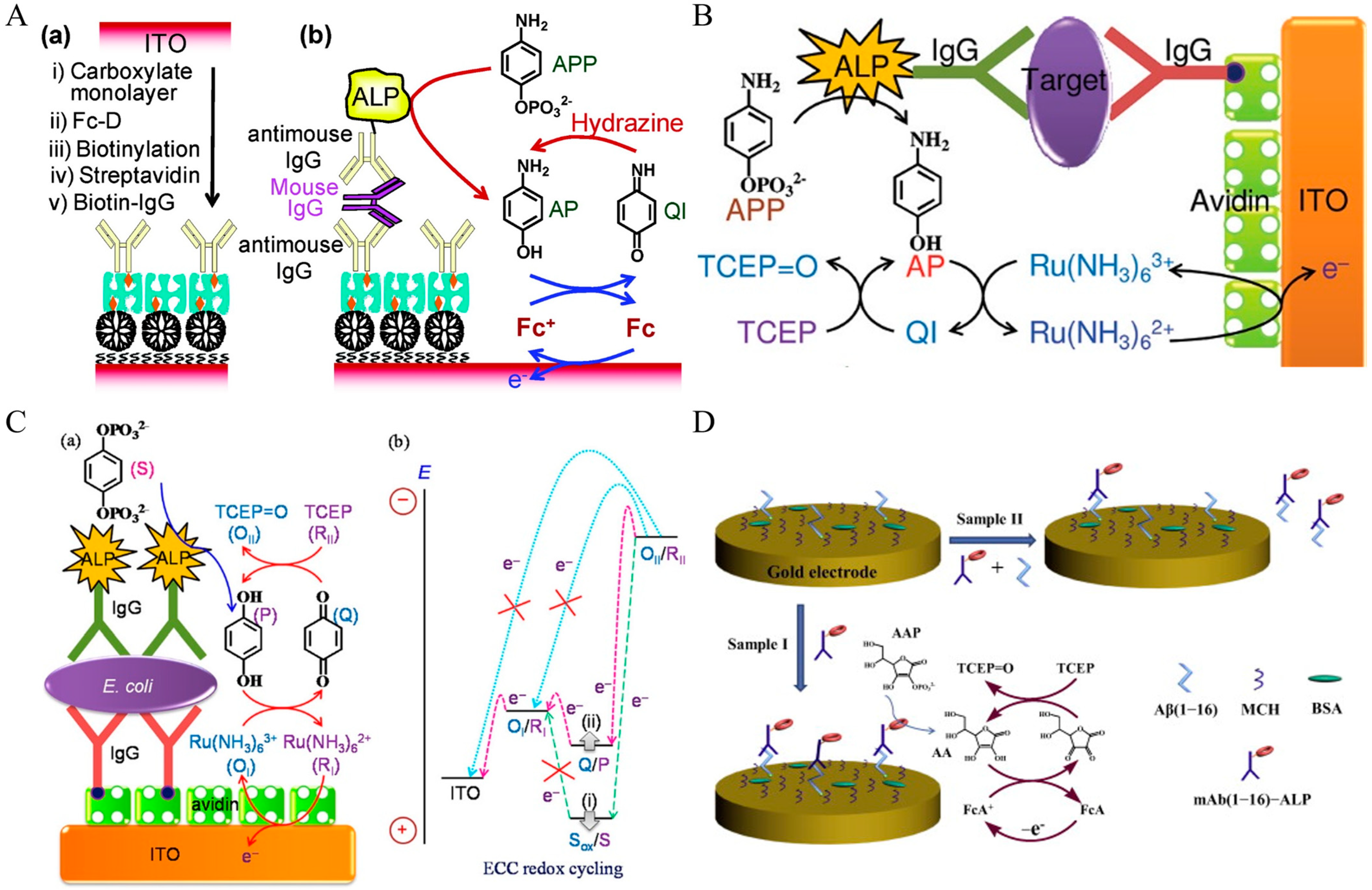 Molecules 29 02796 g024