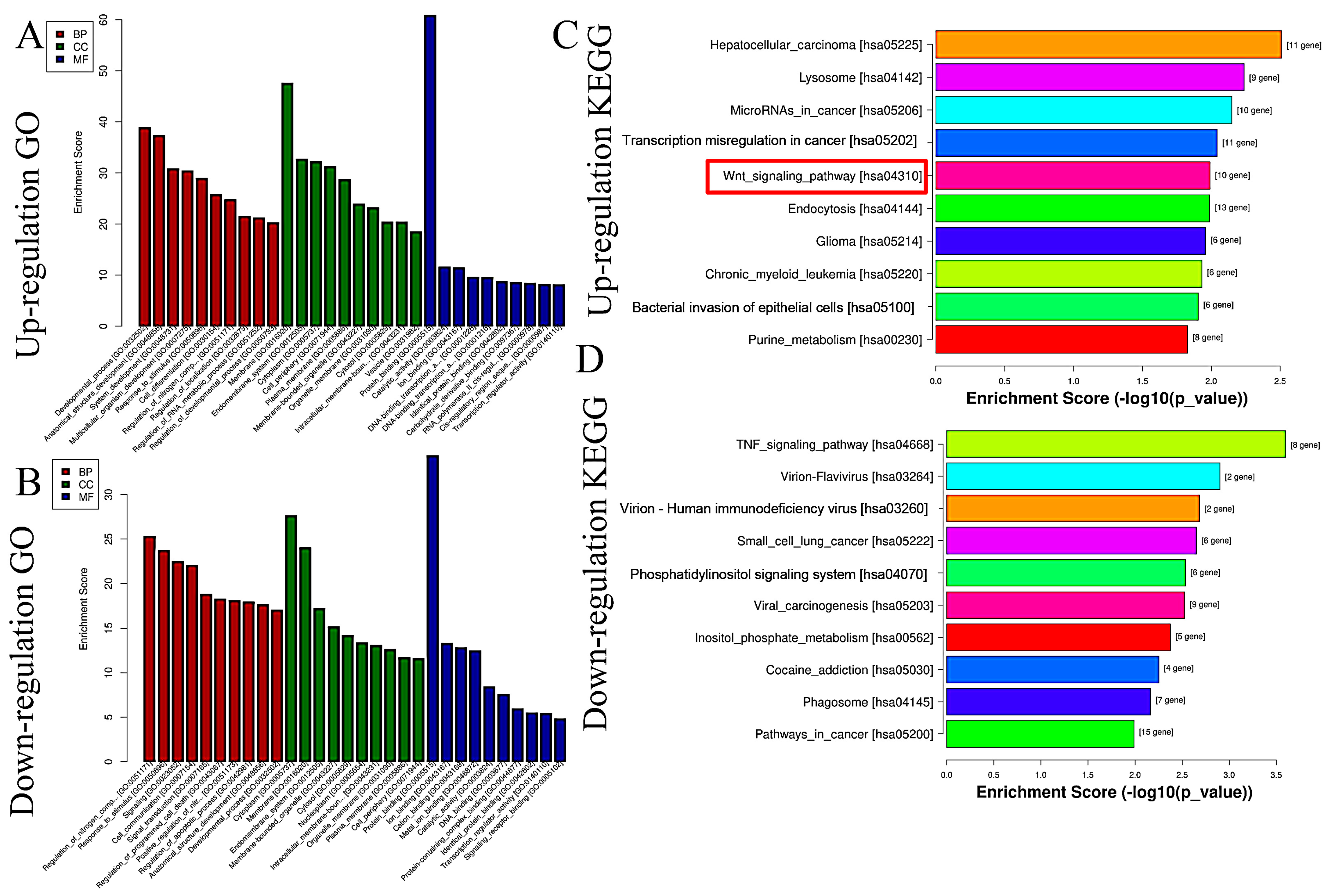 Molecules 29 02797 g004