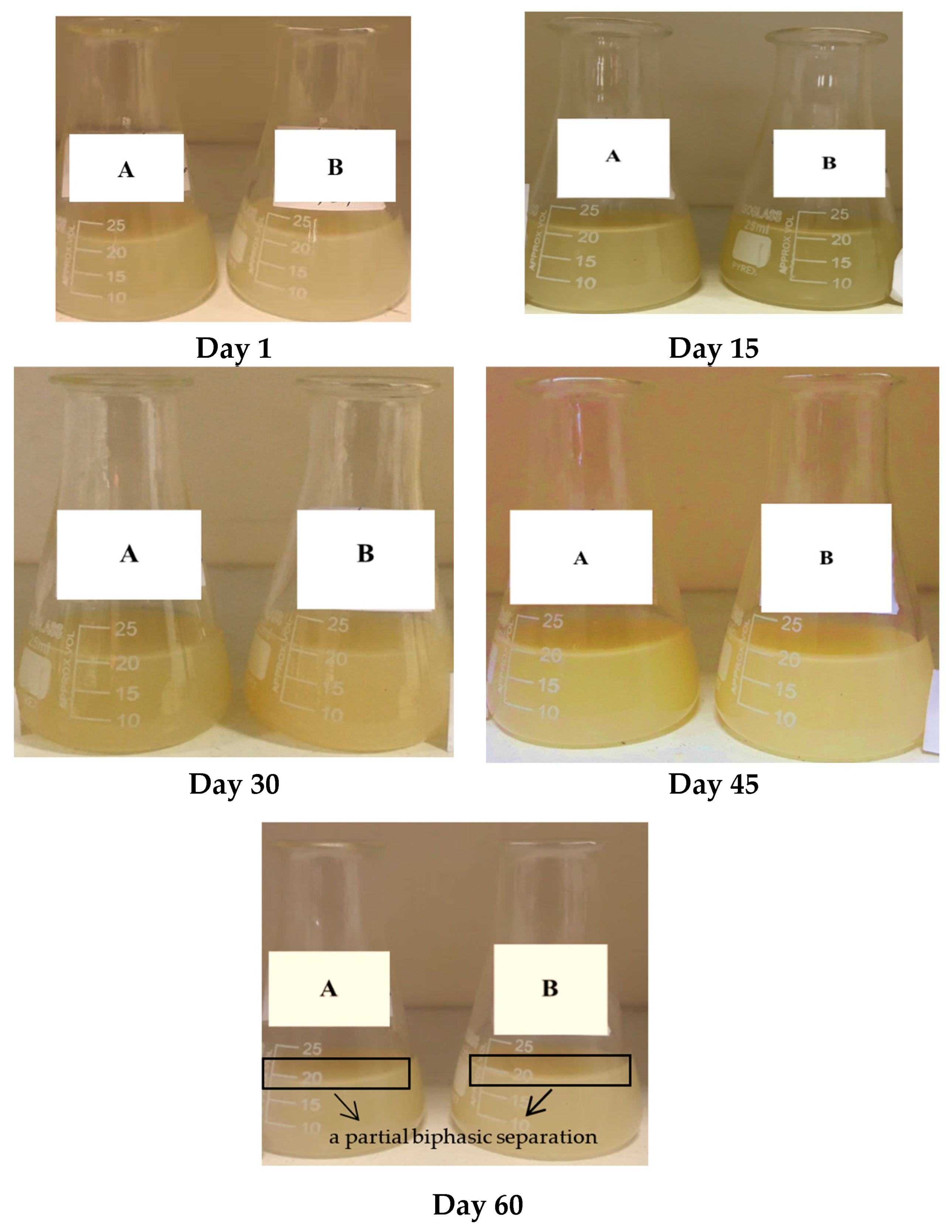Molecules 29 02804 g001