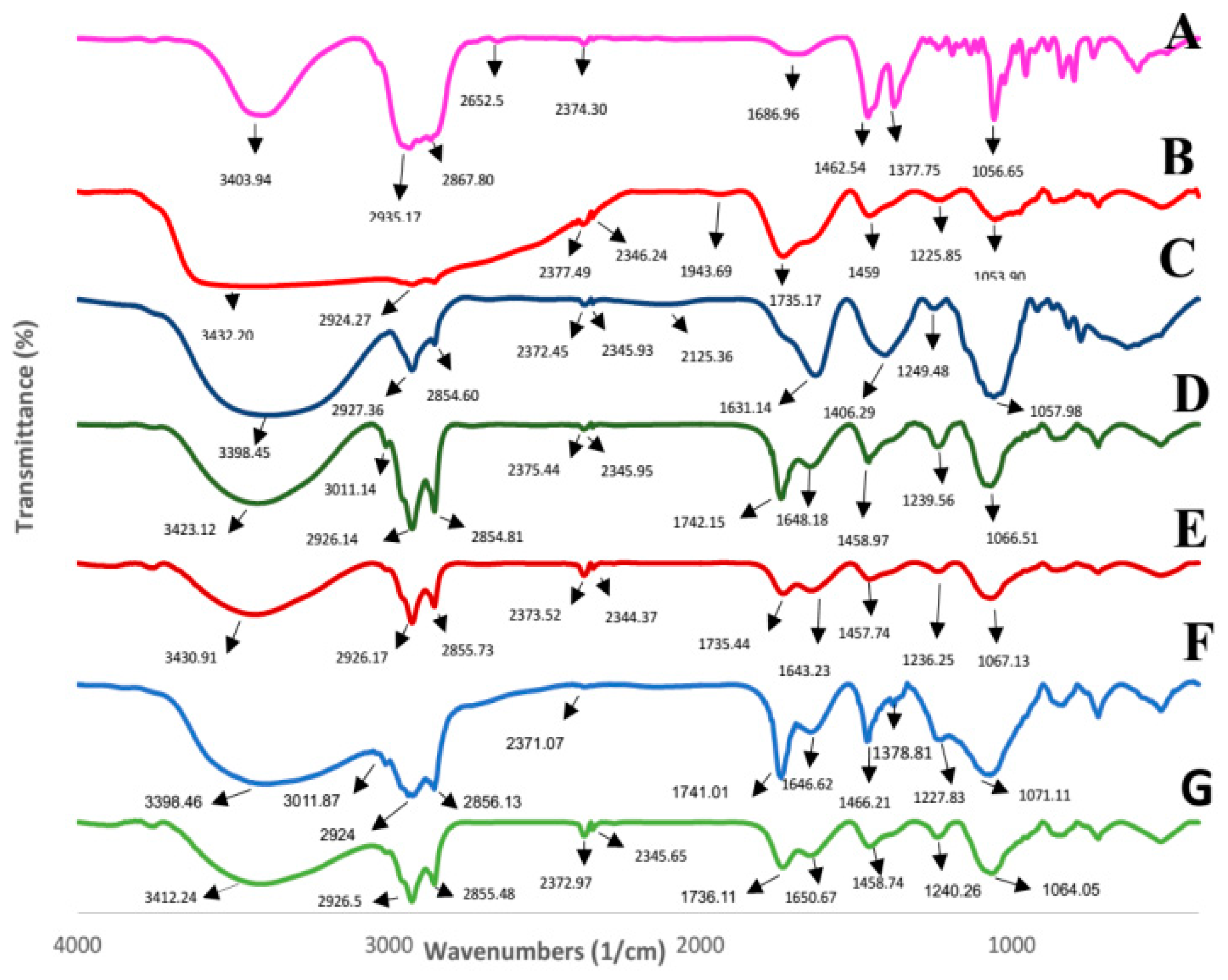 Molecules 29 02804 g003