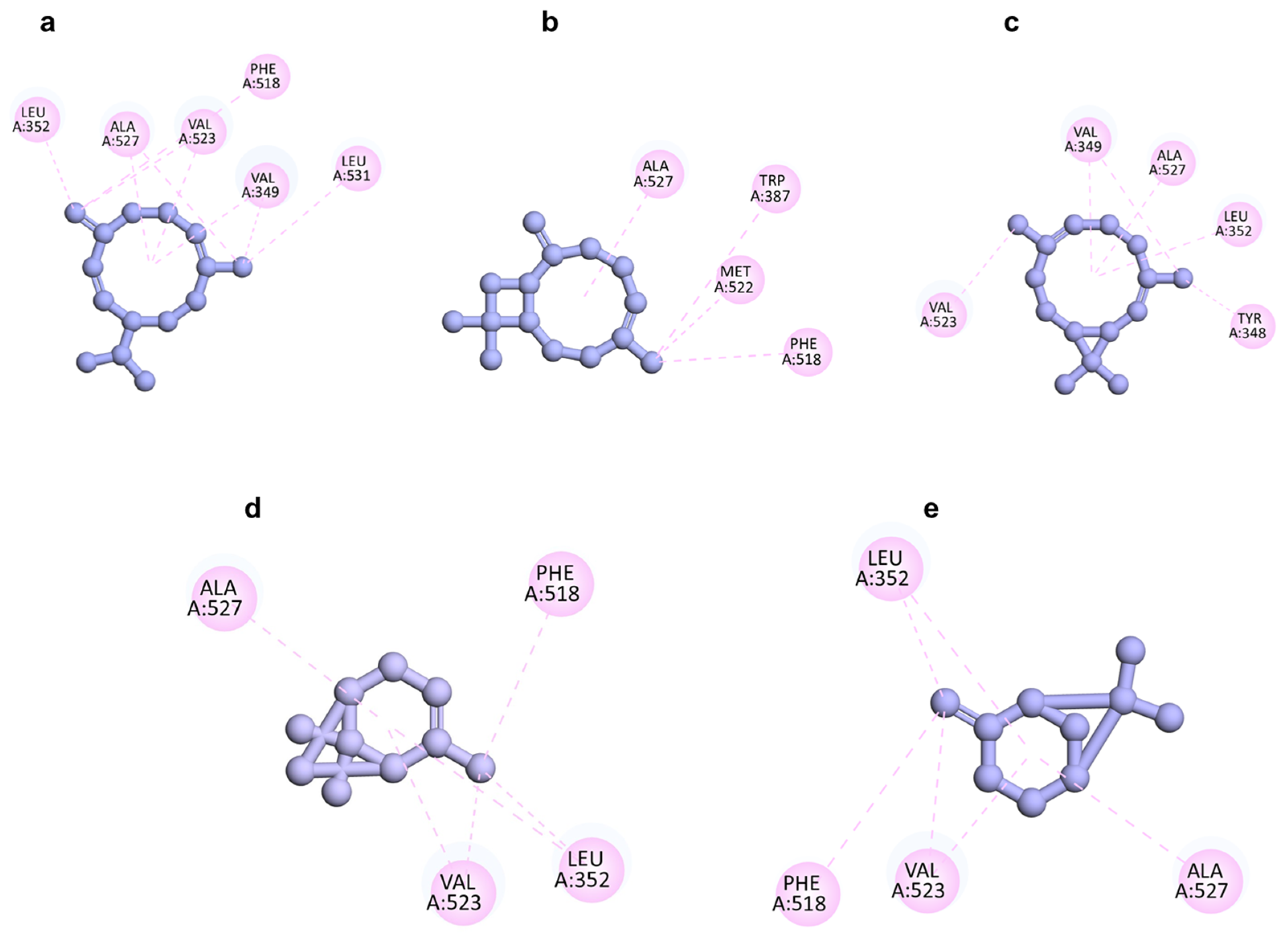Molecules 29 02808 g005