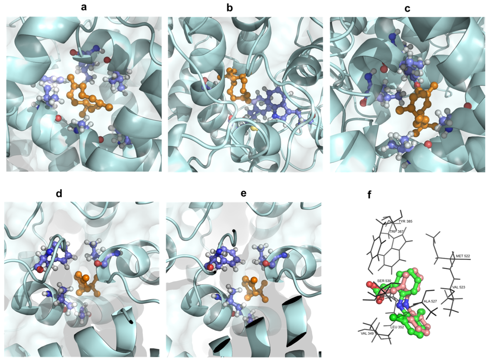 Molecules 29 02808 g006