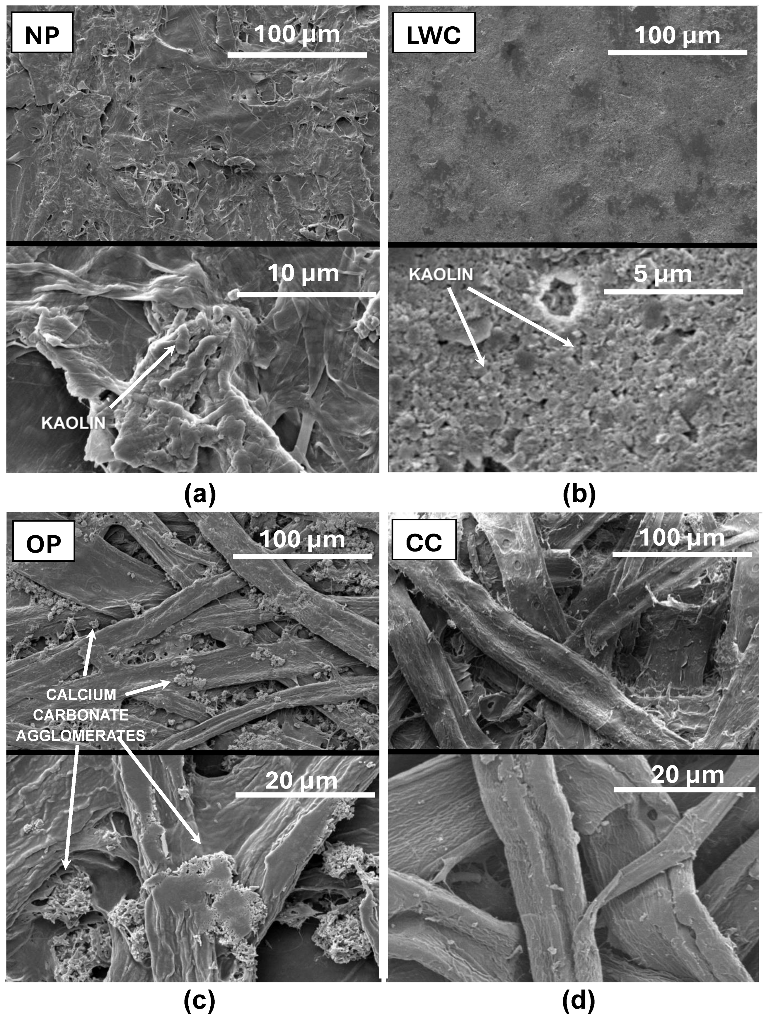 Molecules 29 02809 g002