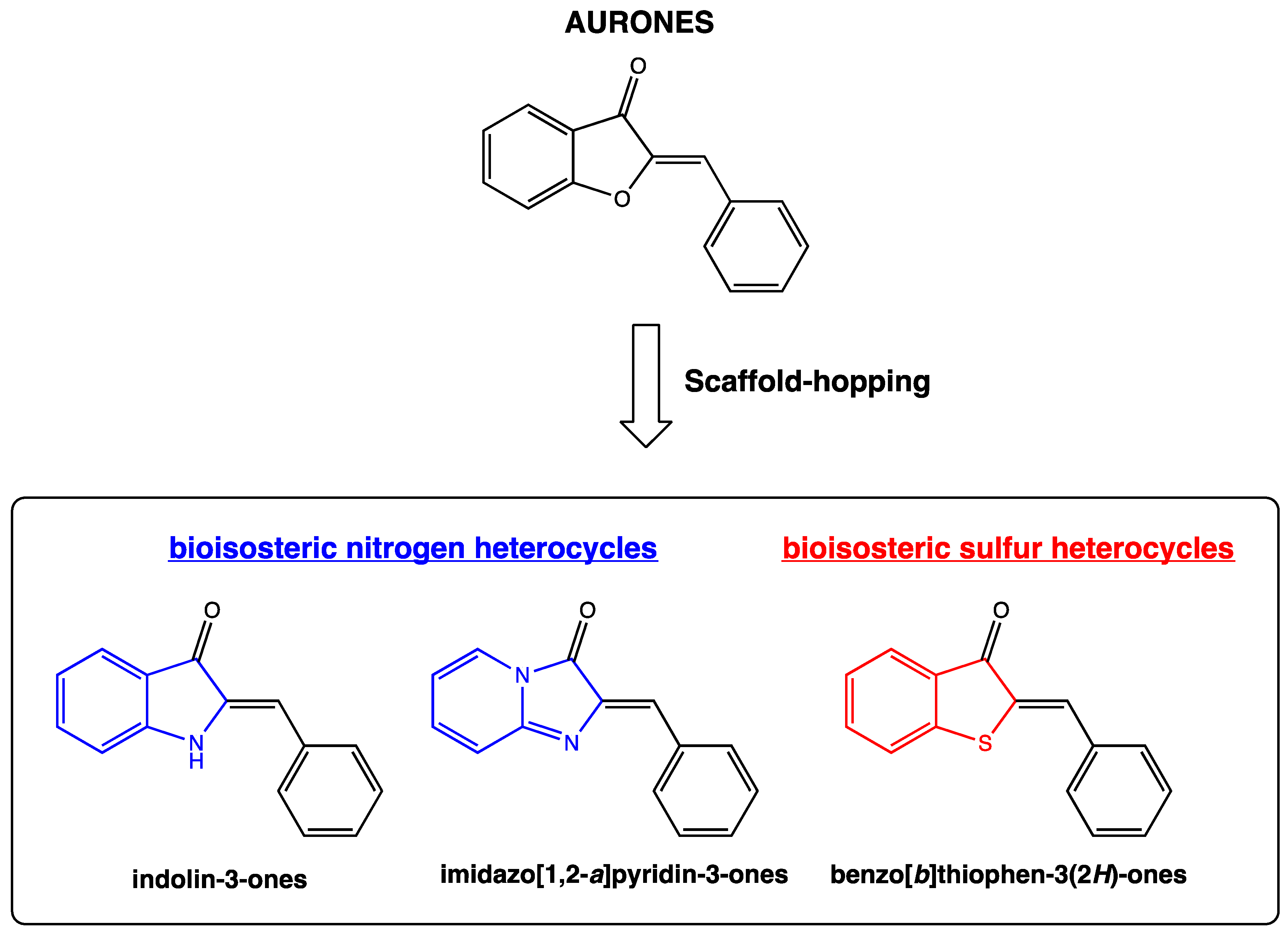 Molecules 29 02813 g002