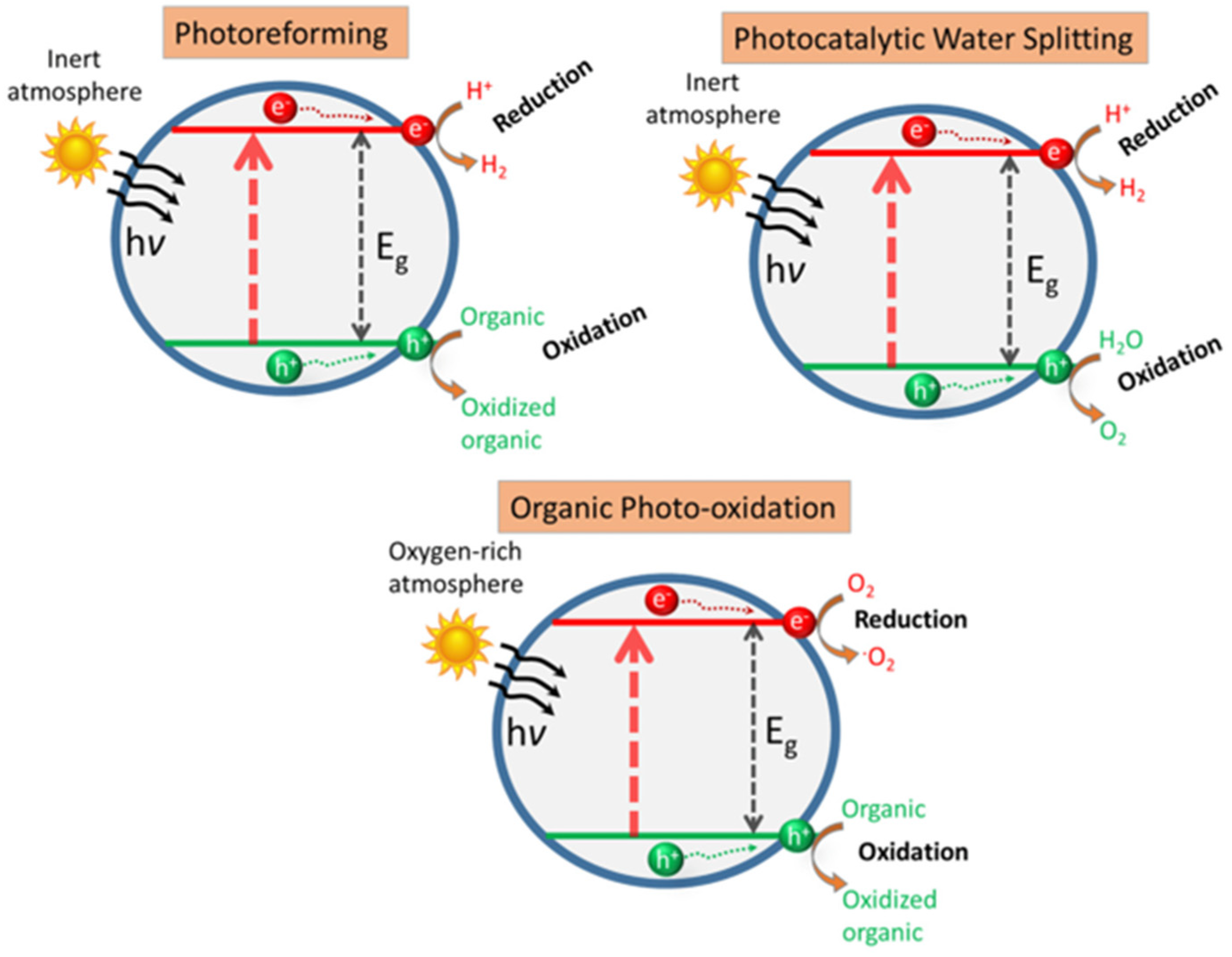 Molecules 29 02816 g009