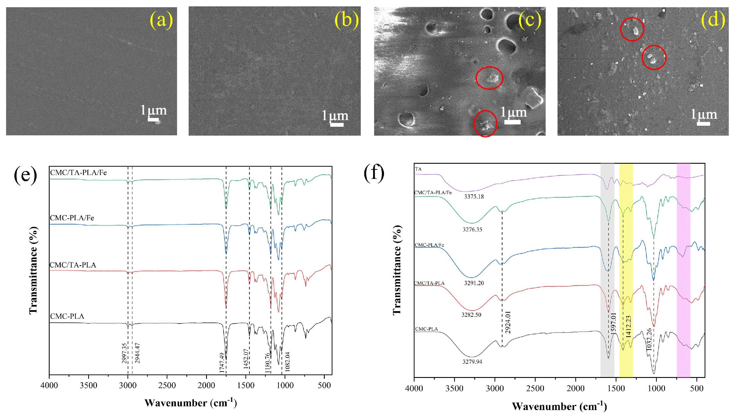 Molecules 29 02822 g006