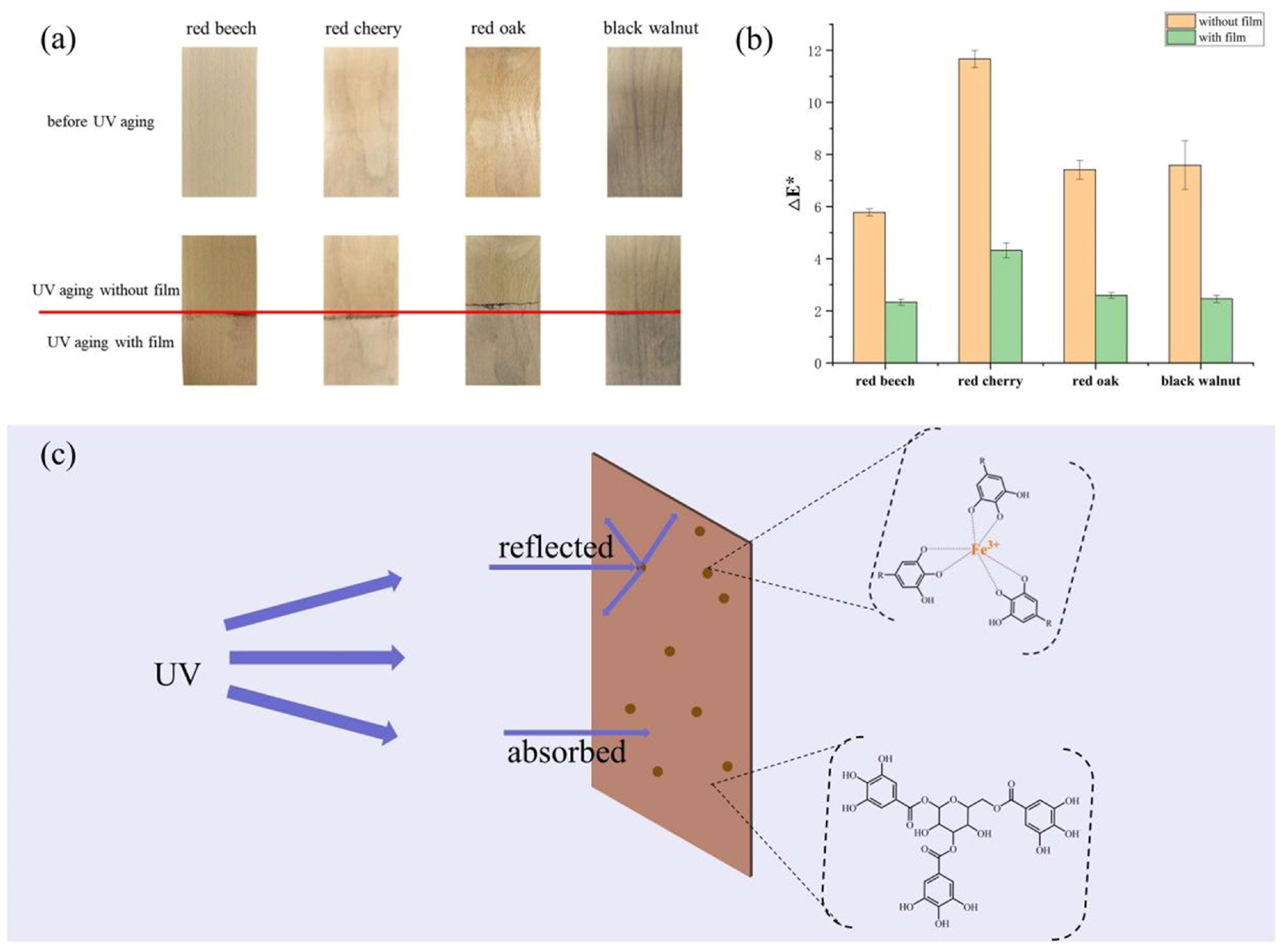 Molecules 29 02822 g008