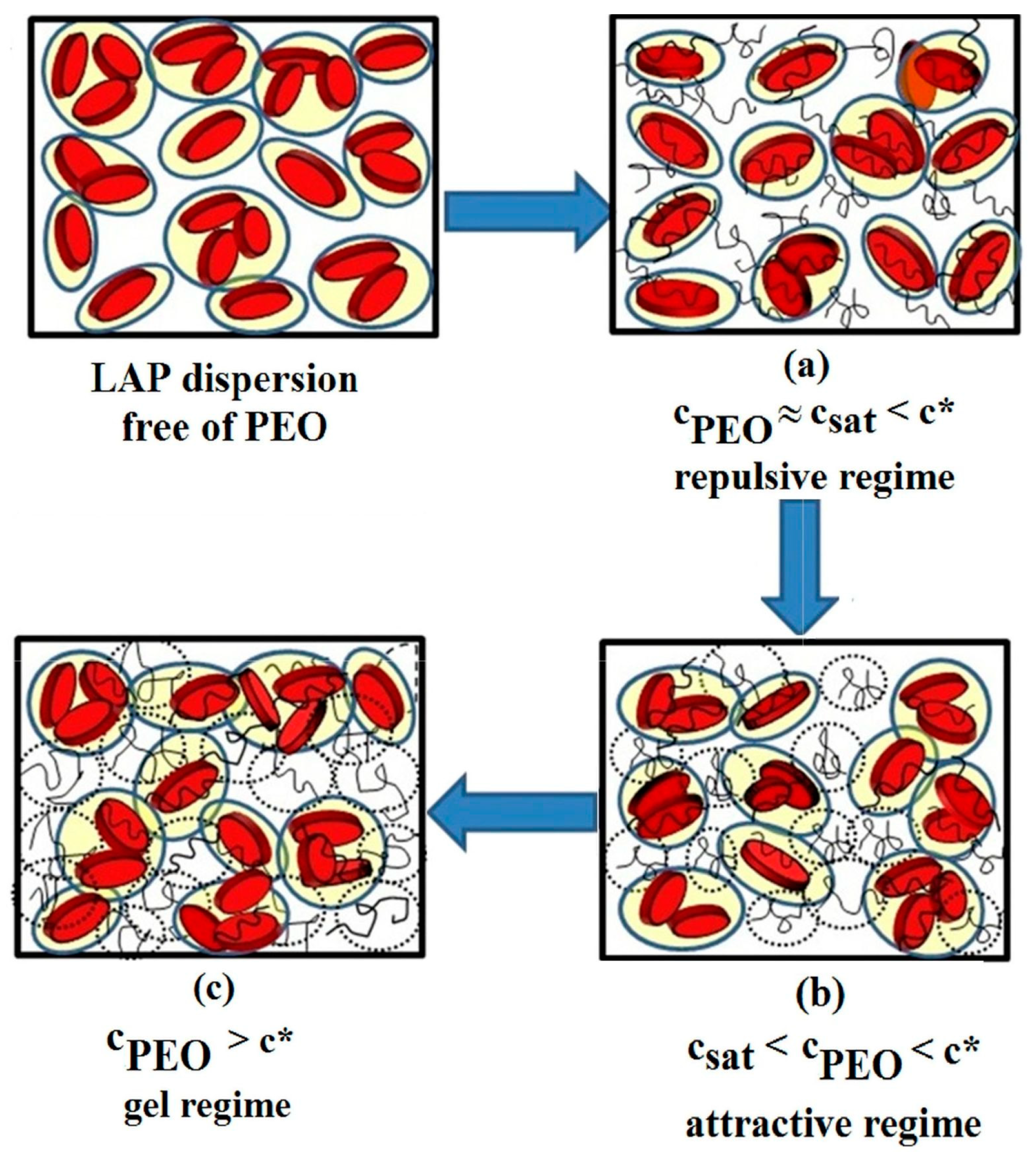 Molecules 29 02823 g006 Molecules 29 02823 g006