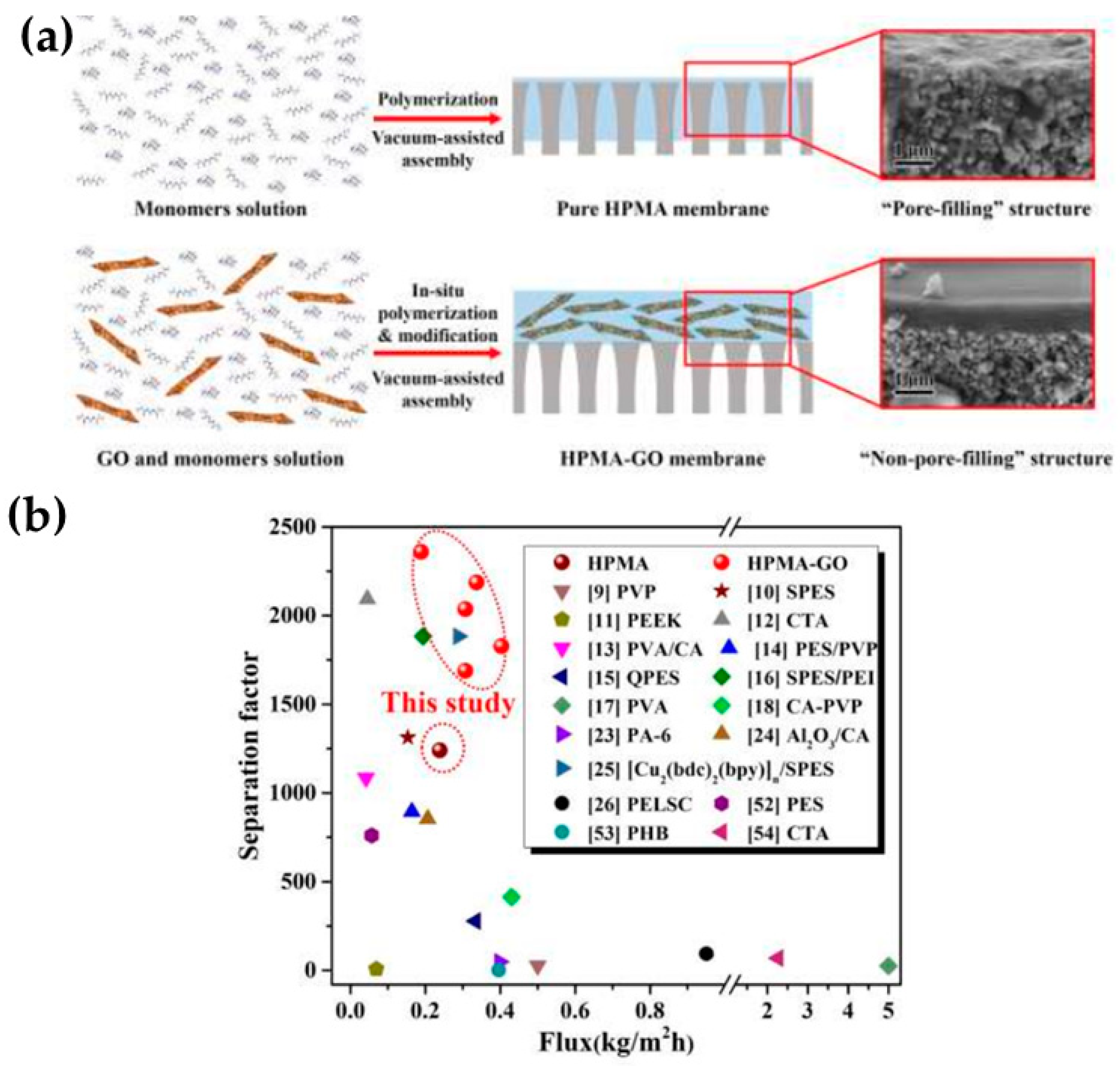 Molecules 29 02829 g003