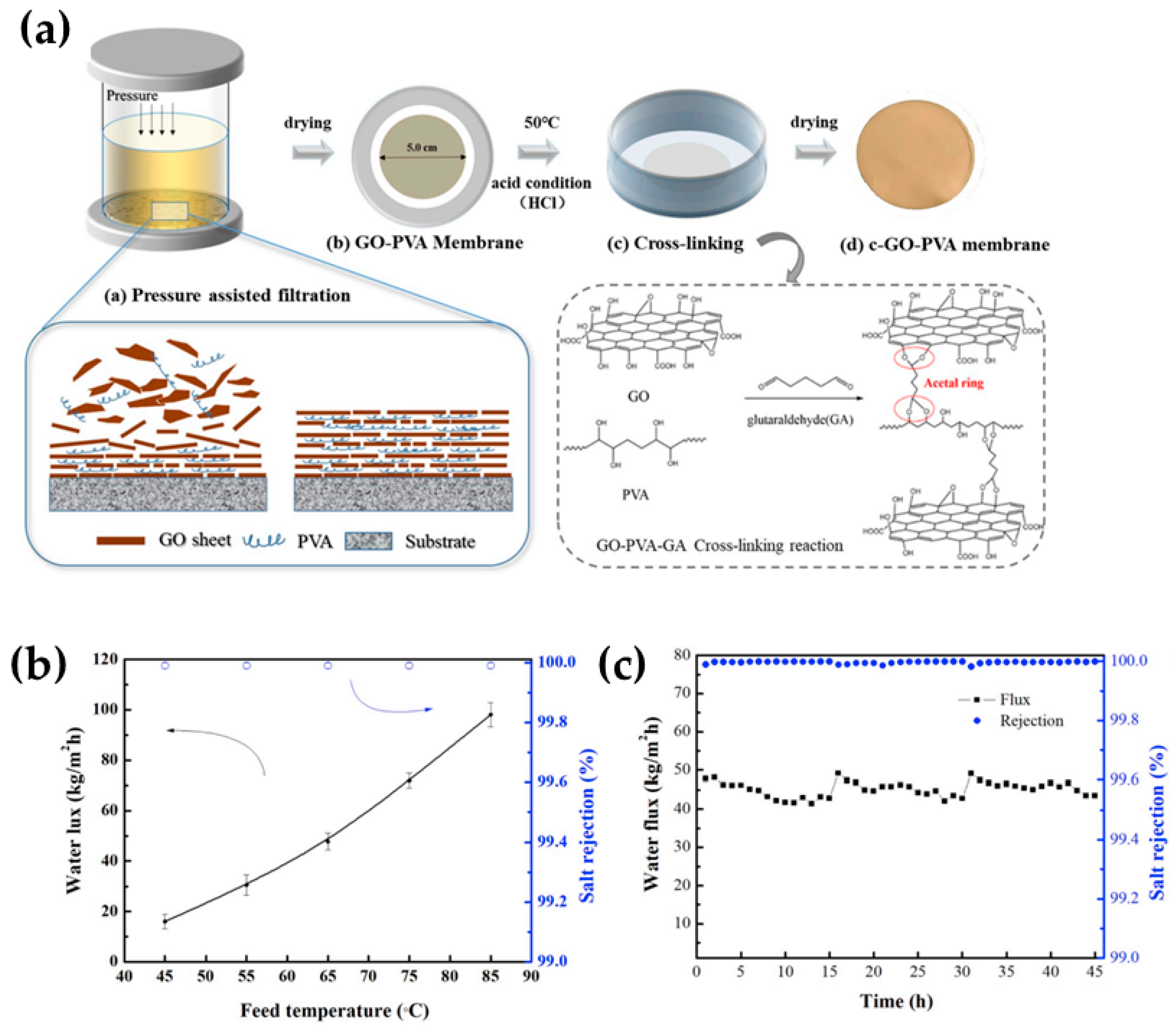 Molecules 29 02829 g004