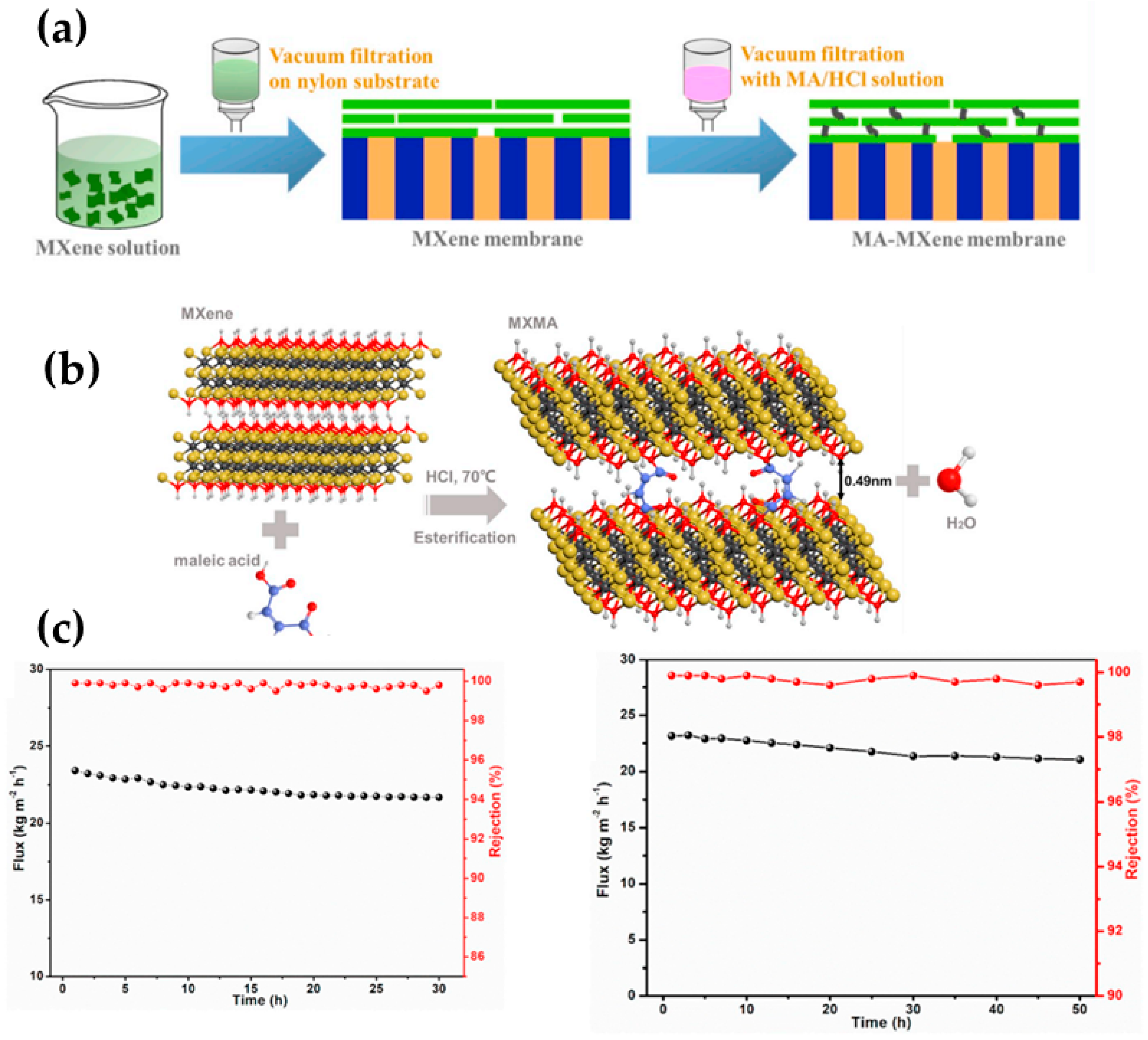 Molecules 29 02829 g005