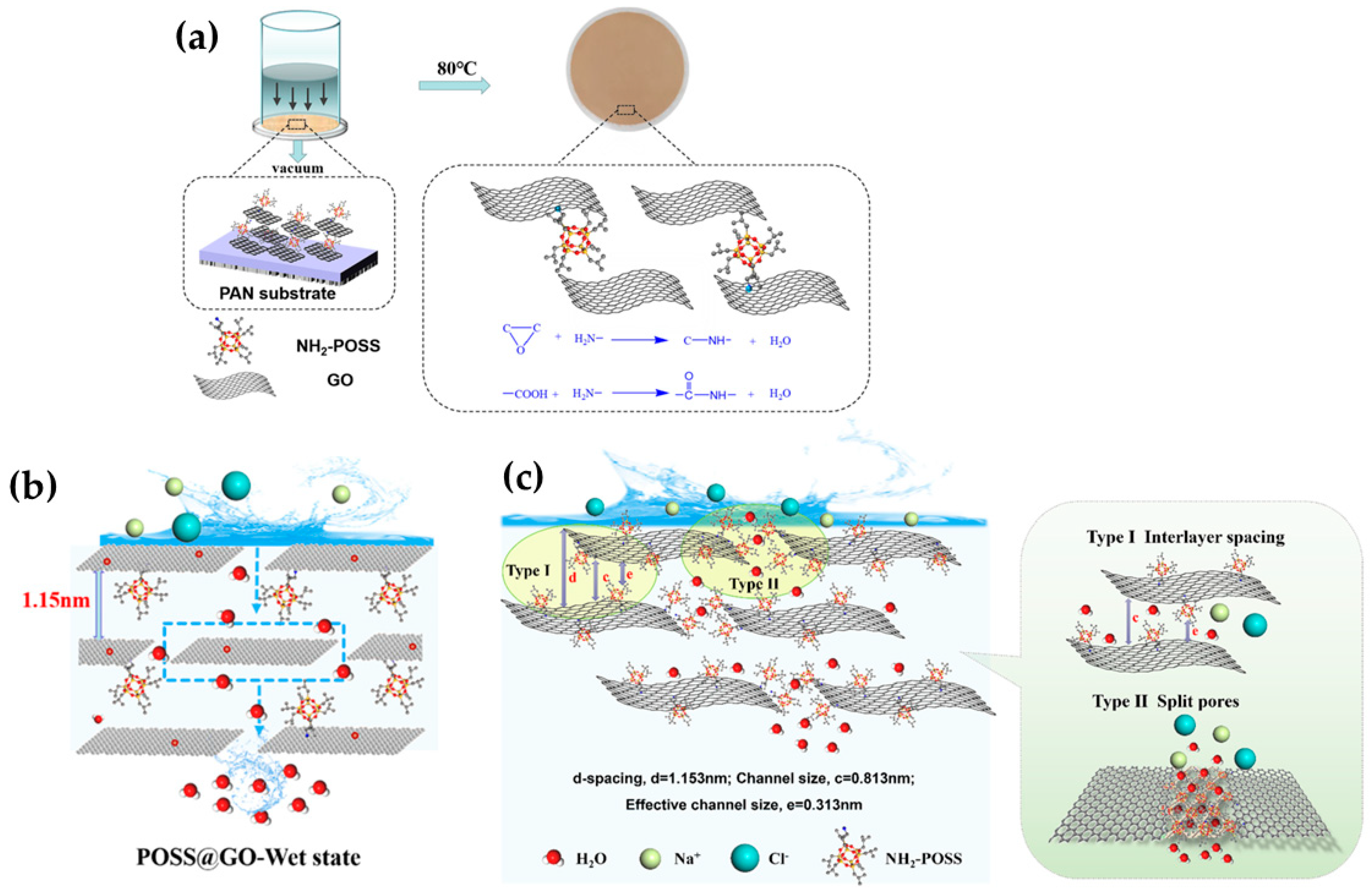 Molecules 29 02829 g006