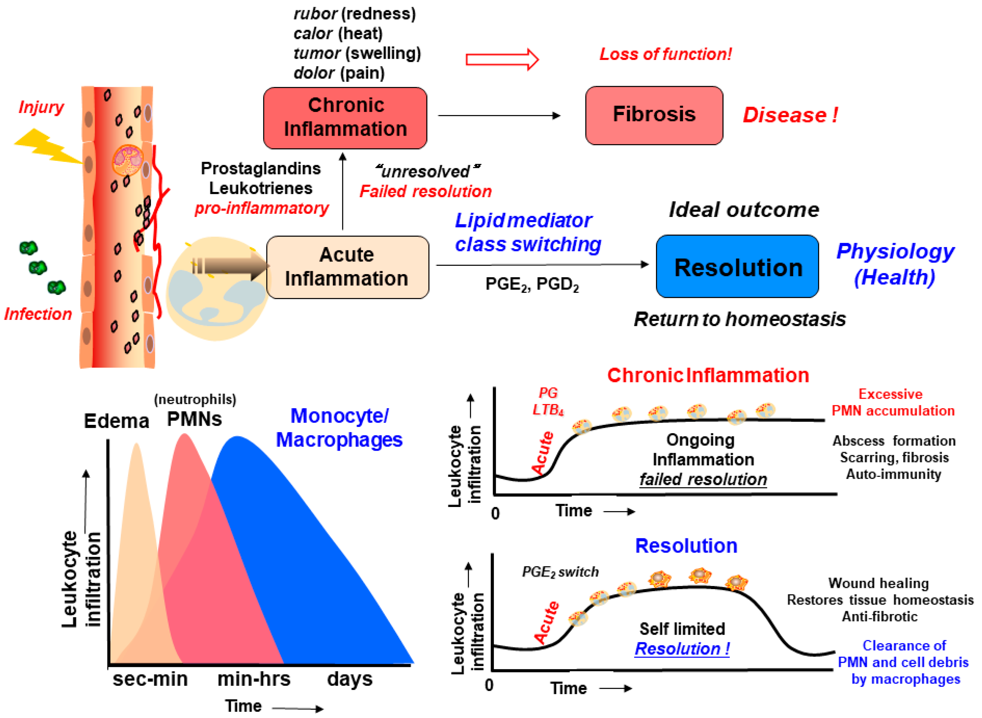 Molecules 29 02833 g002